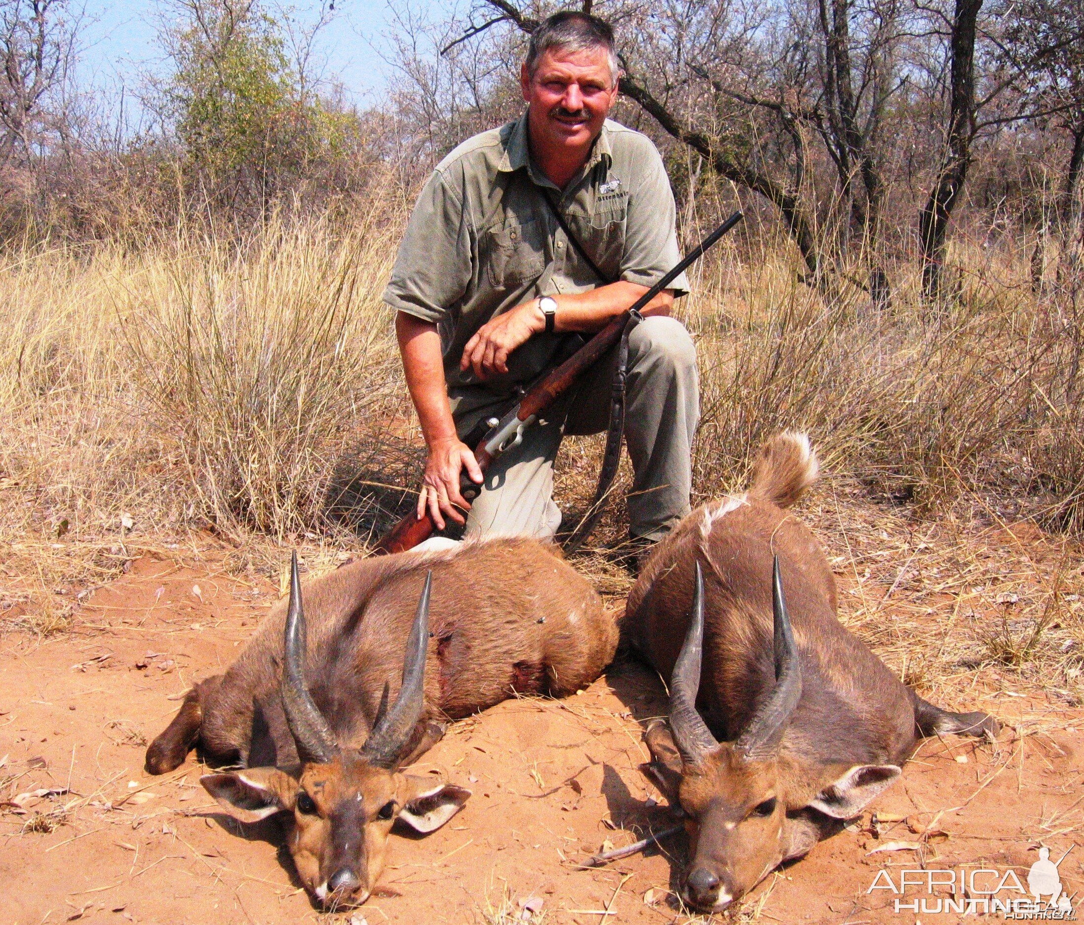 Double on bushbuck - South Africa
