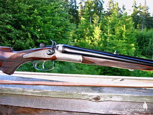 Double Rifle Shotgun Ferlach Cape Gun