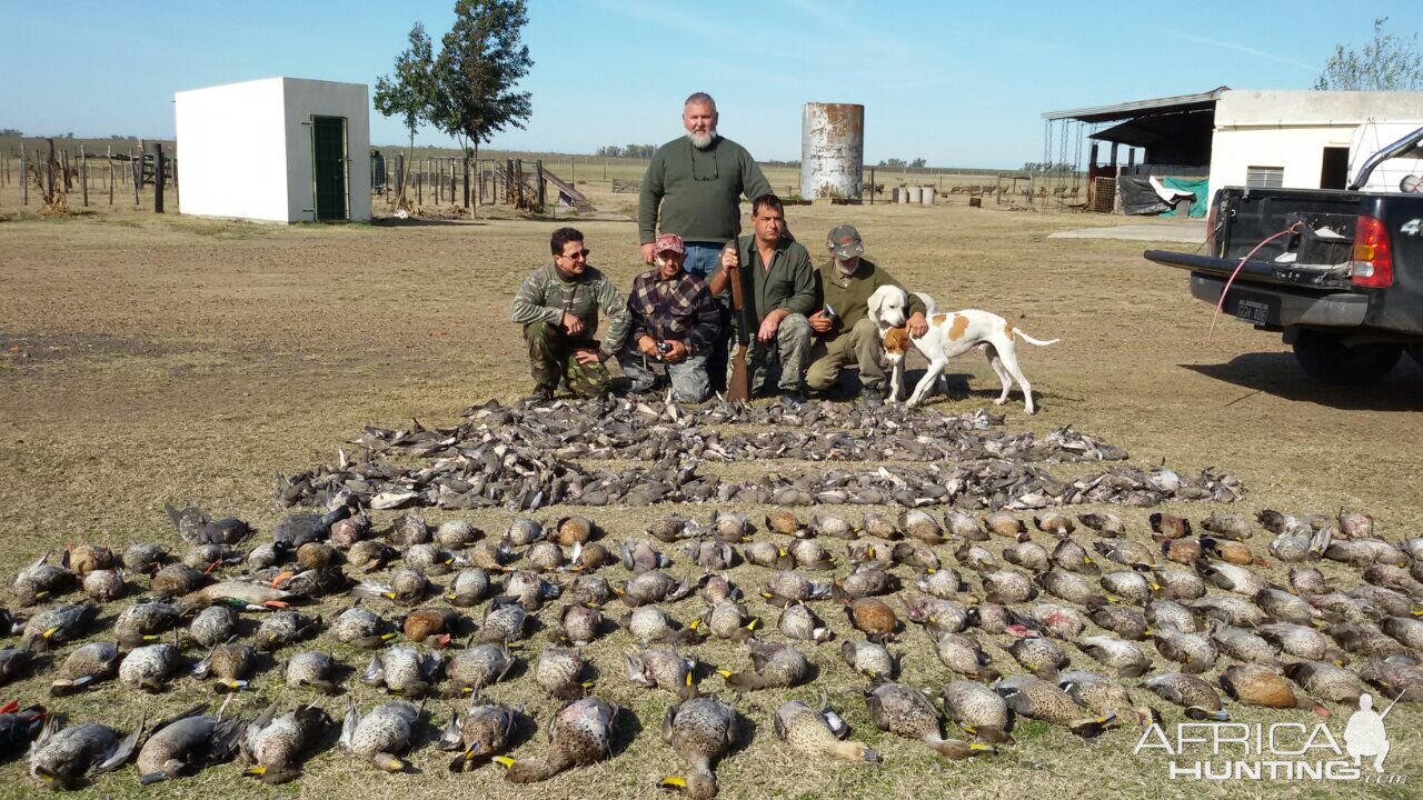 Dove Duck Hunting Argentina Hunting