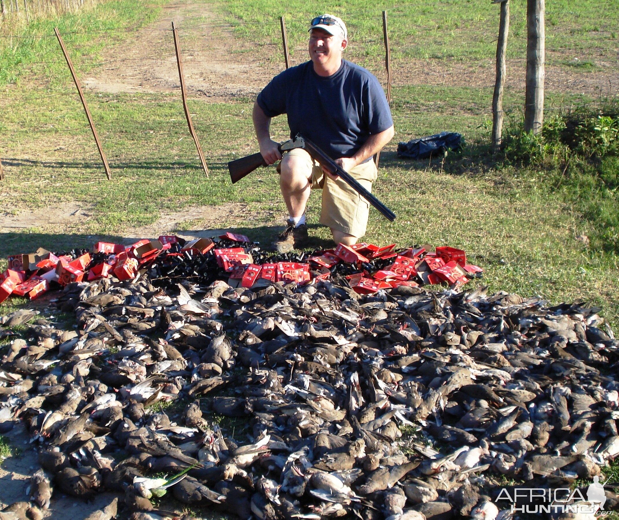 Dove Hunting Argentina