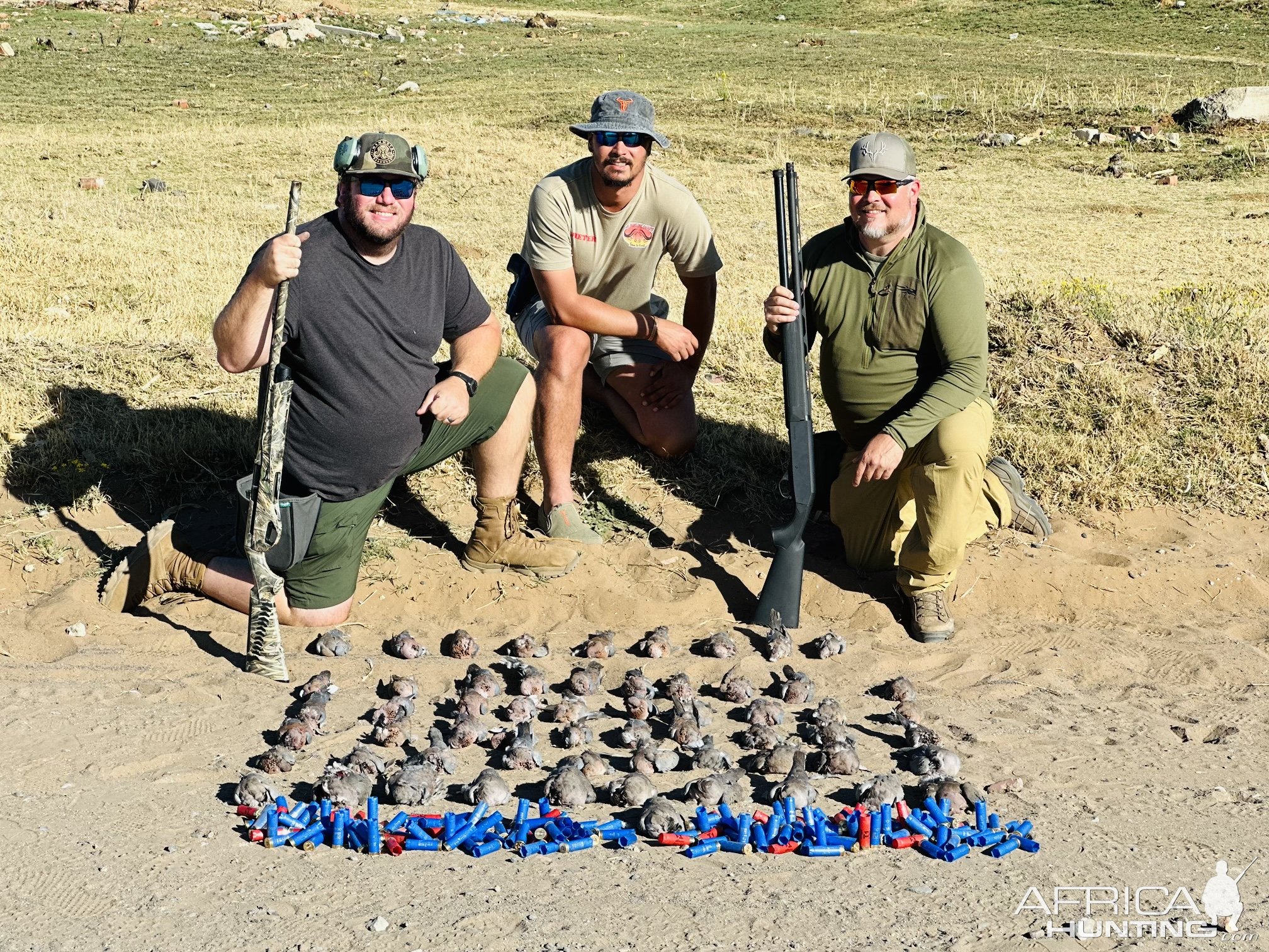 Dove Shooting South Africa