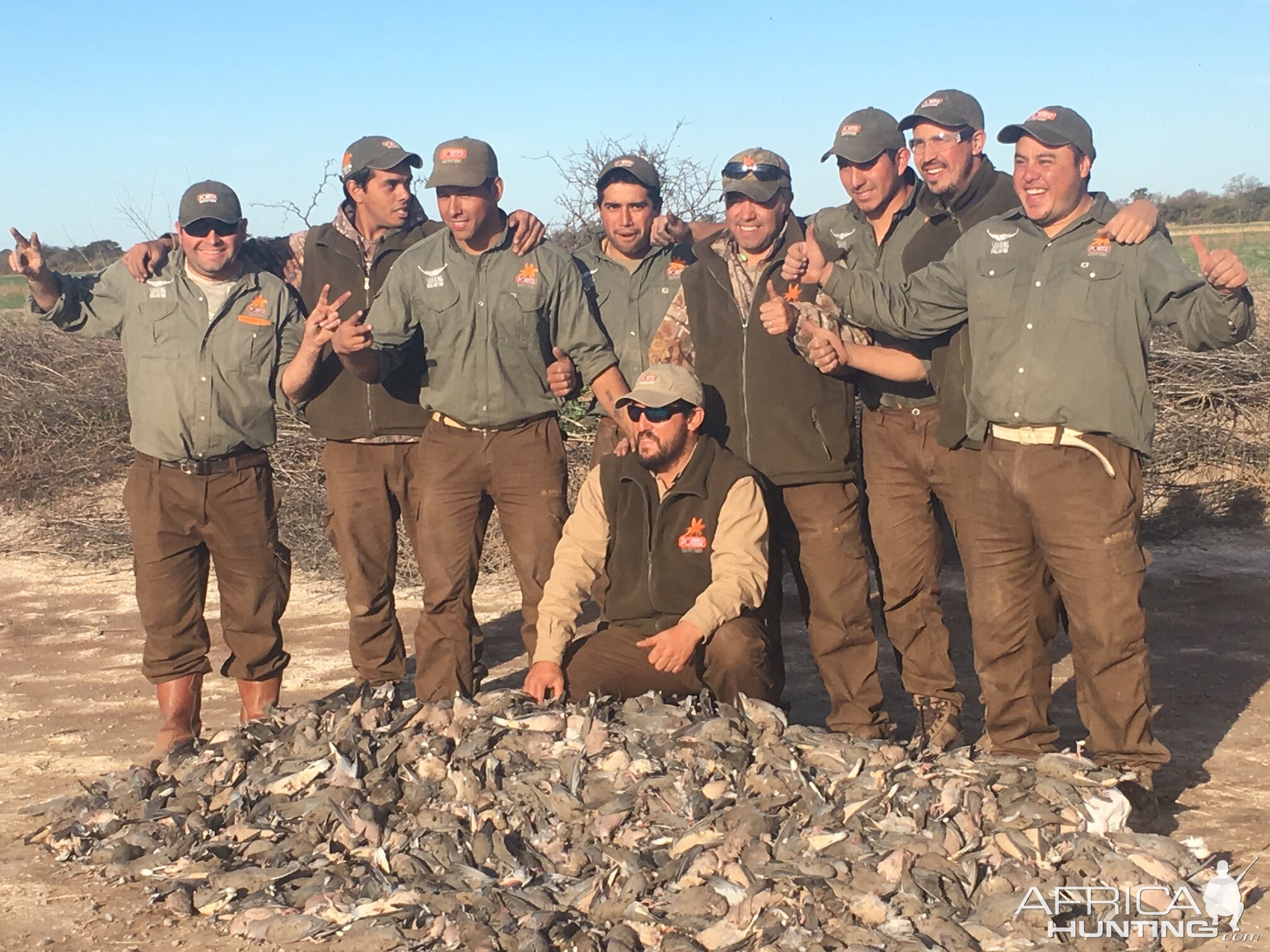 Dove Wingshooting Argentina