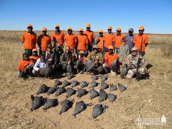 Driven Guinea Fowl South Africa