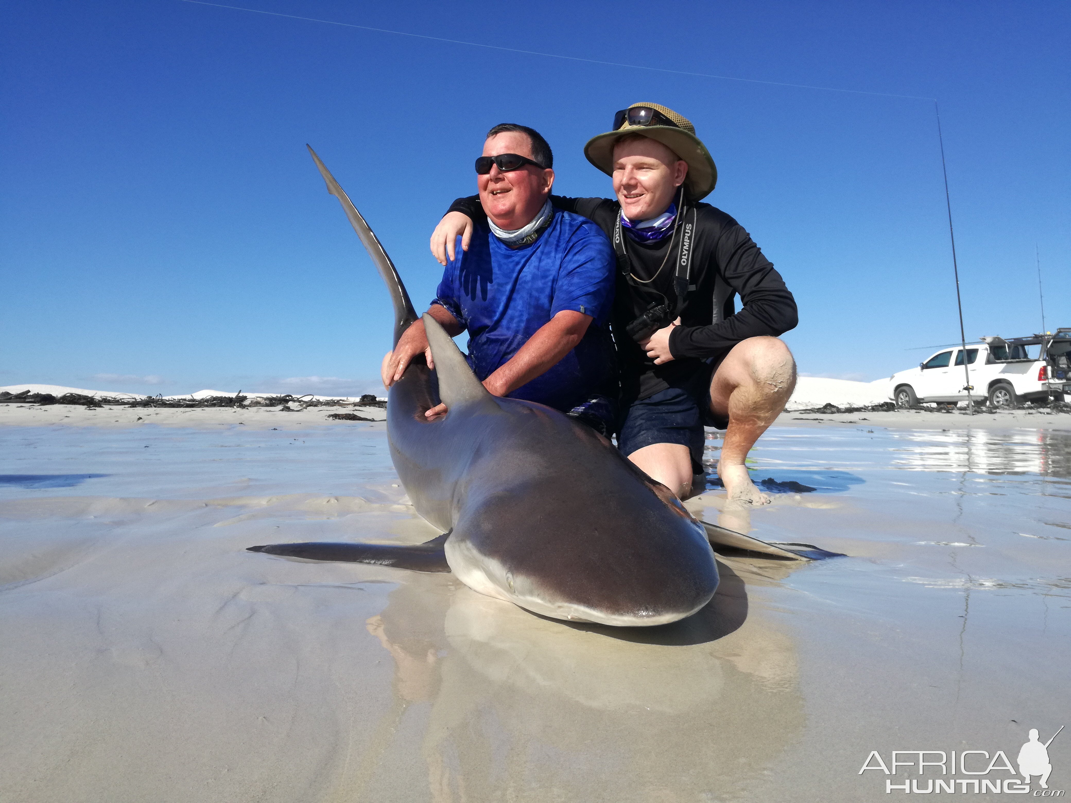 Drone-fishing for Bronze Whalers at Gansbaai, South Africa