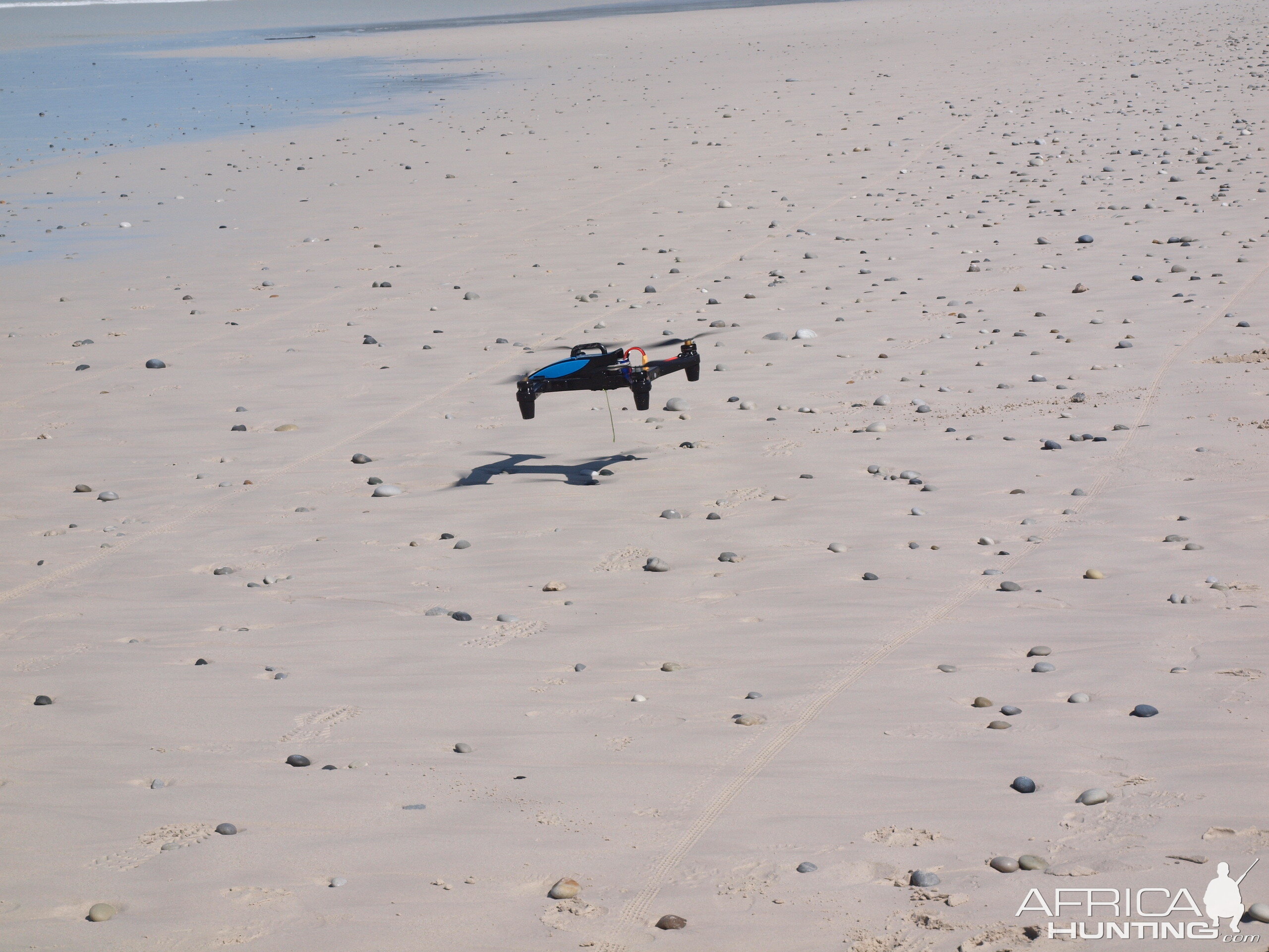 Drone-fishing for Bronze Whalers at Gansbaai, South Africa