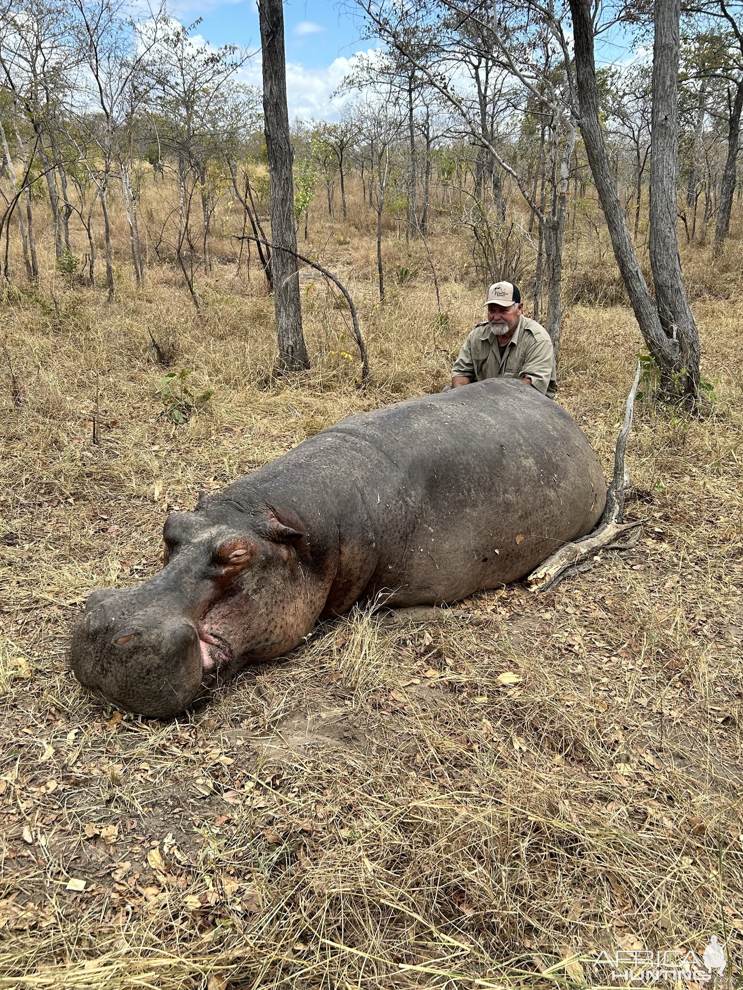 Dry Land Hippo Hunting Selous Game Reserve Tanzania