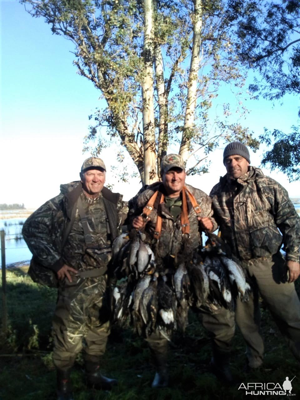 Duck Hunting Argentina