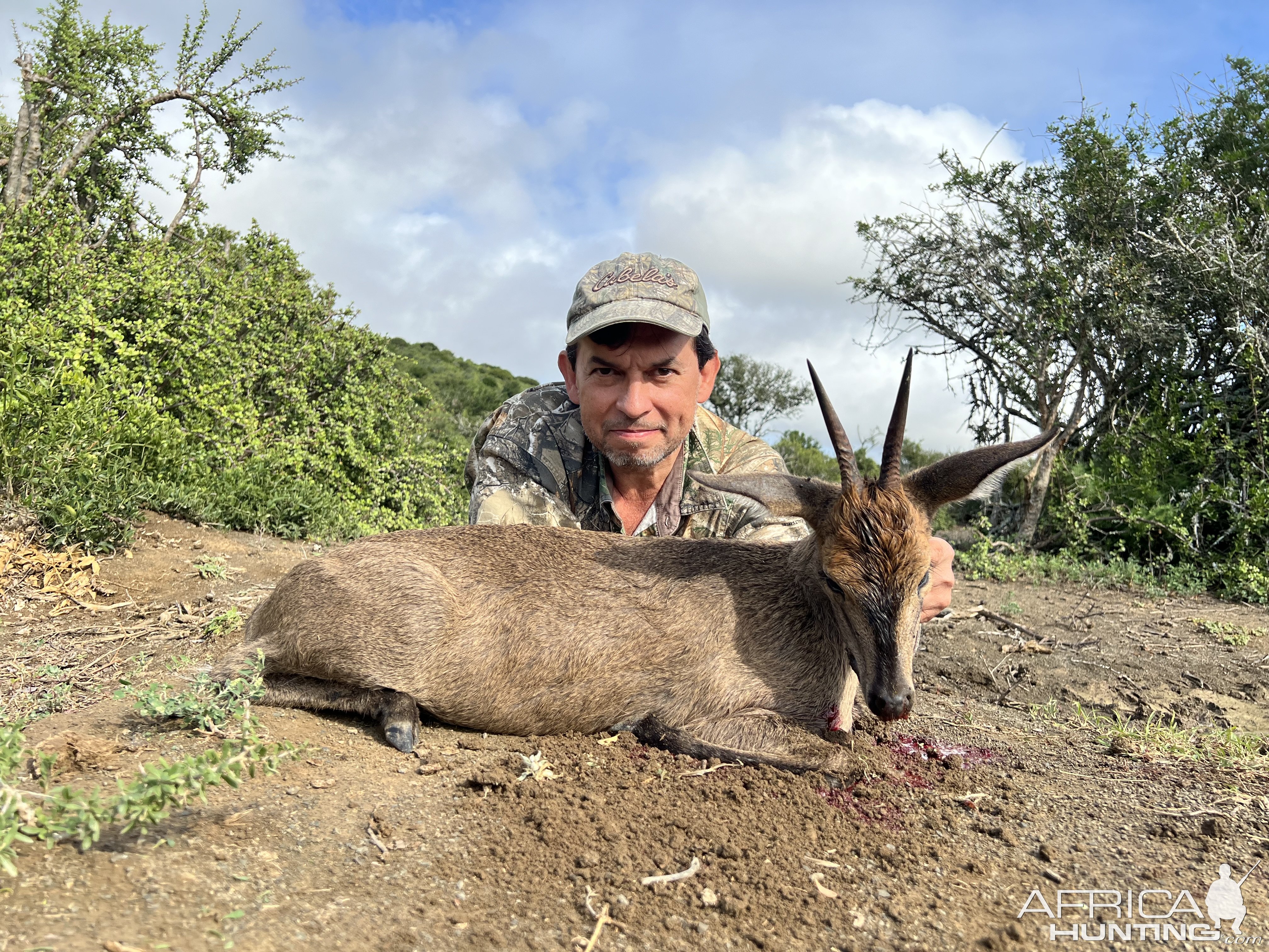 Duiker Hunt Eastern Cape South Africa