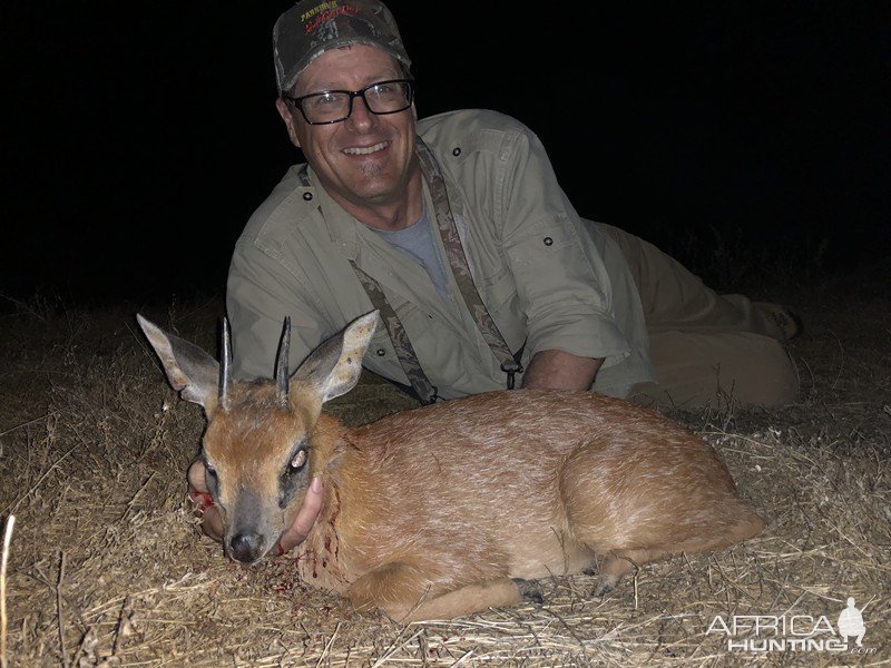 Duiker Hunt Karoo South Africa