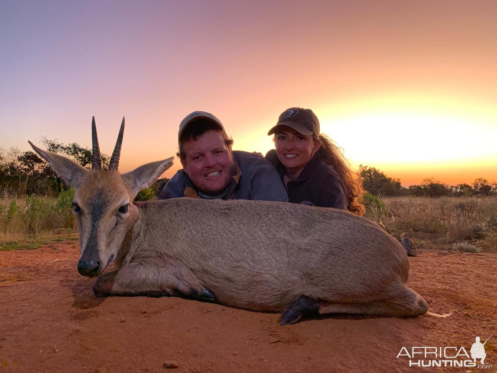 Duiker Hunt Limpopo South Africa