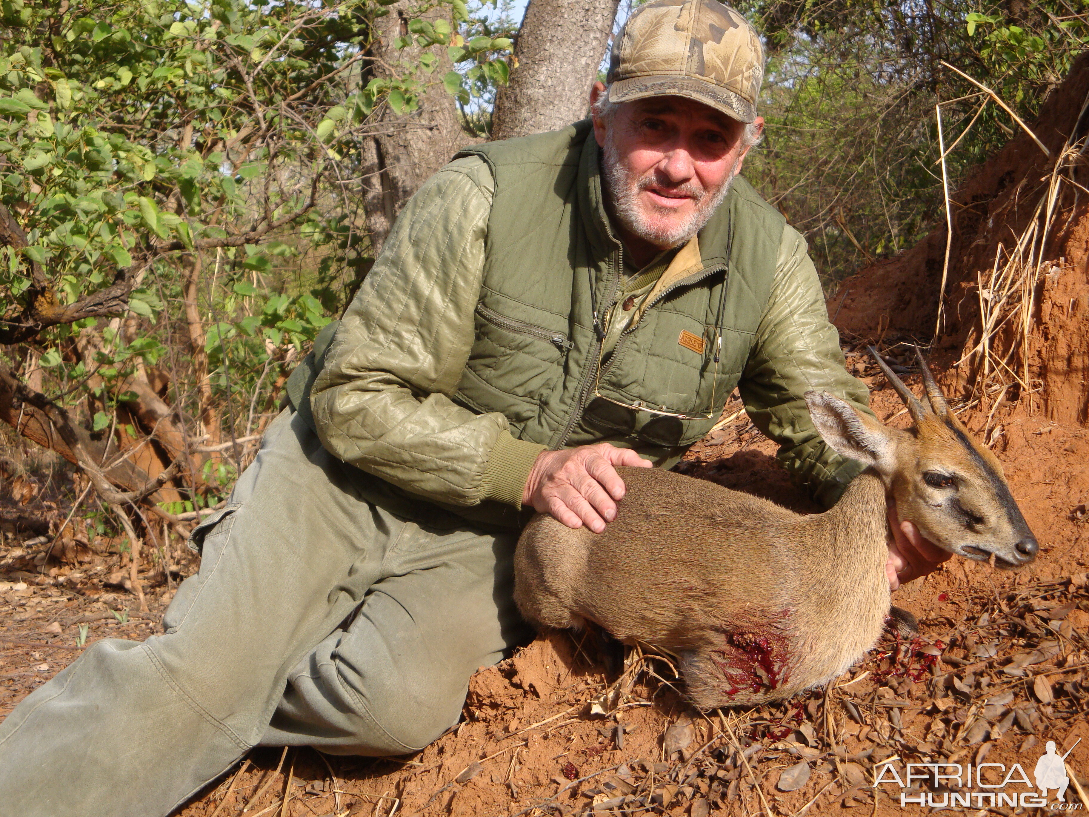 Duiker hunted in Central Africa with Club Faune