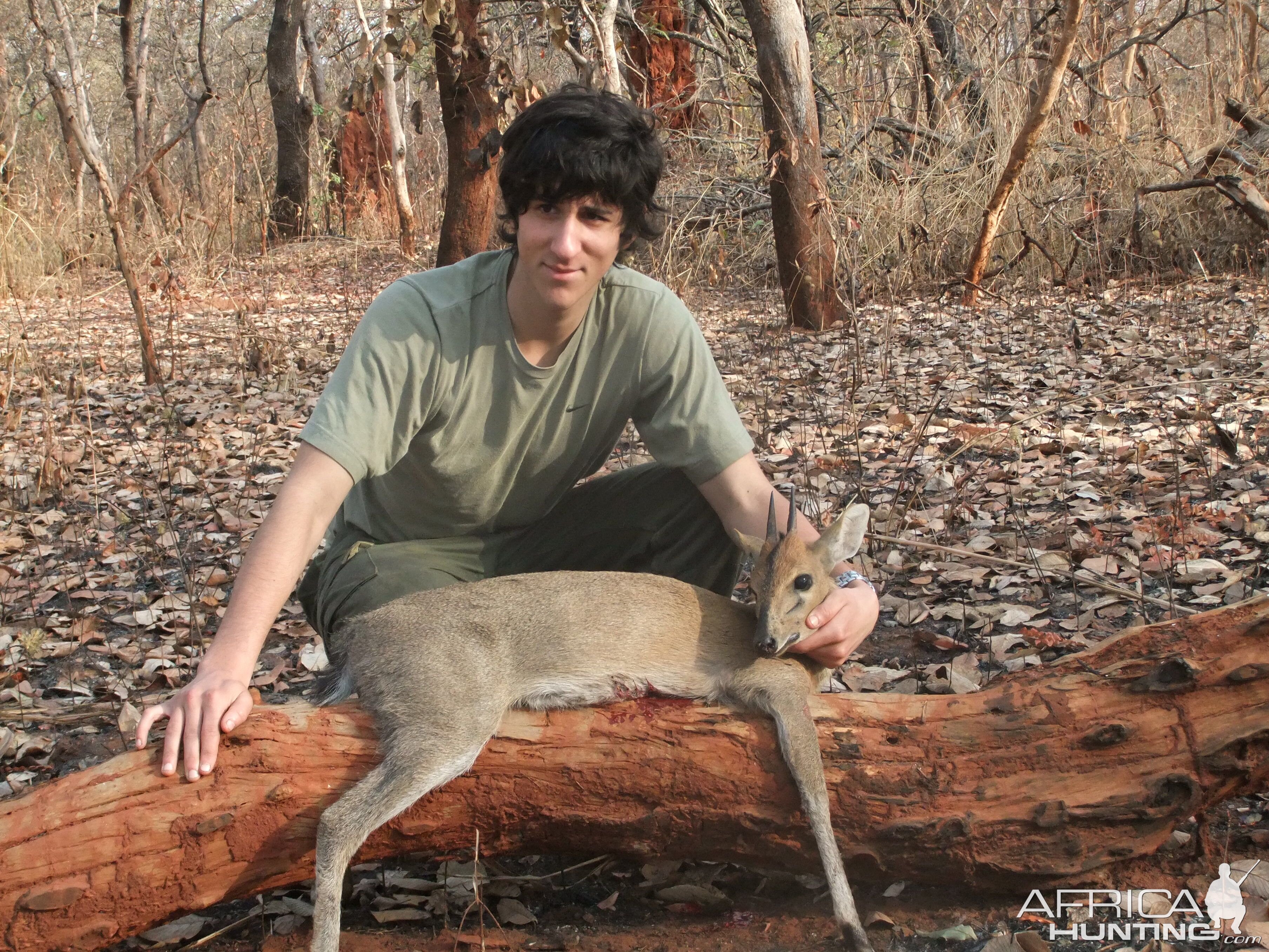 Duiker hunted in Central Africa with Club Faune