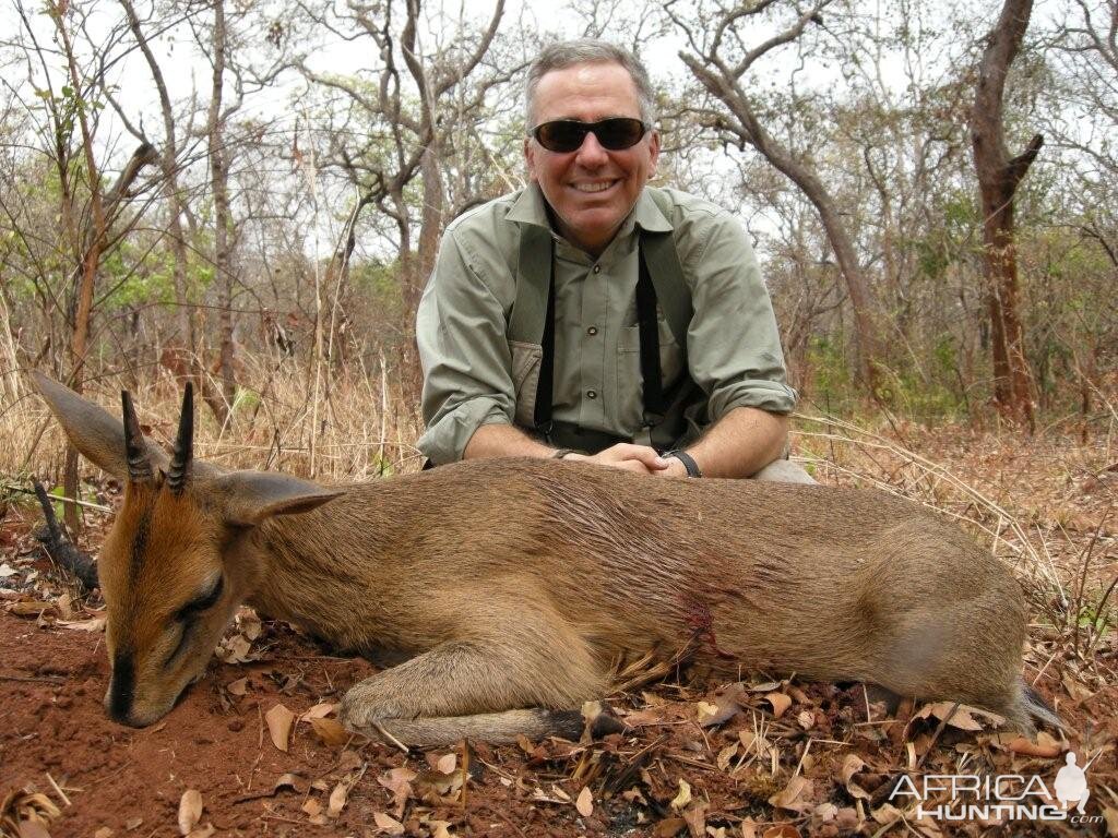 Duiker hunted in Central Africa with Club Faune