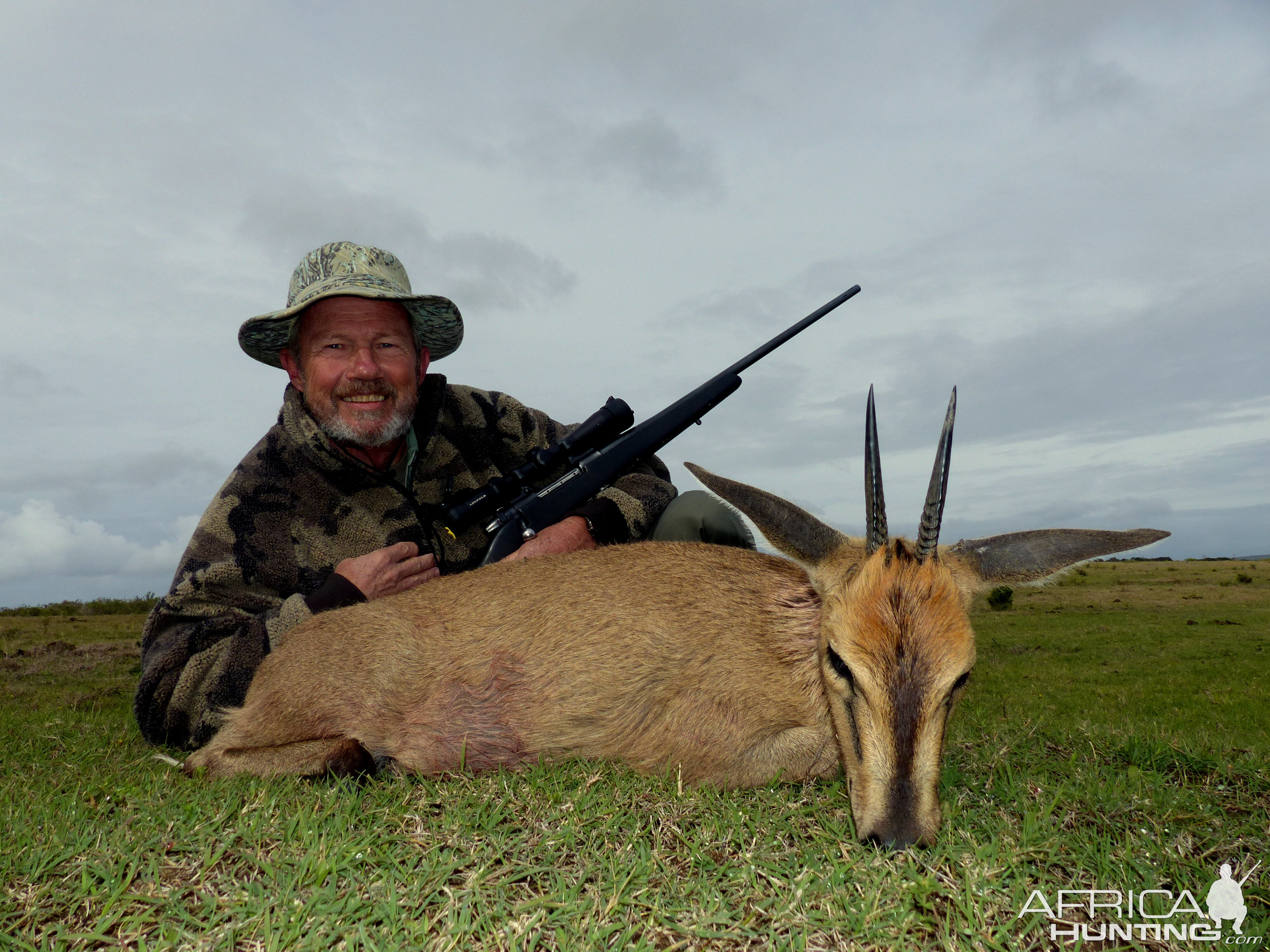 Duiker Hunting South Africa