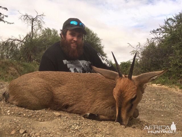 Duiker Hunting South Africa