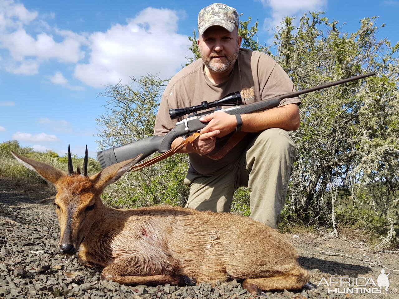 Duiker Hunting South Africa