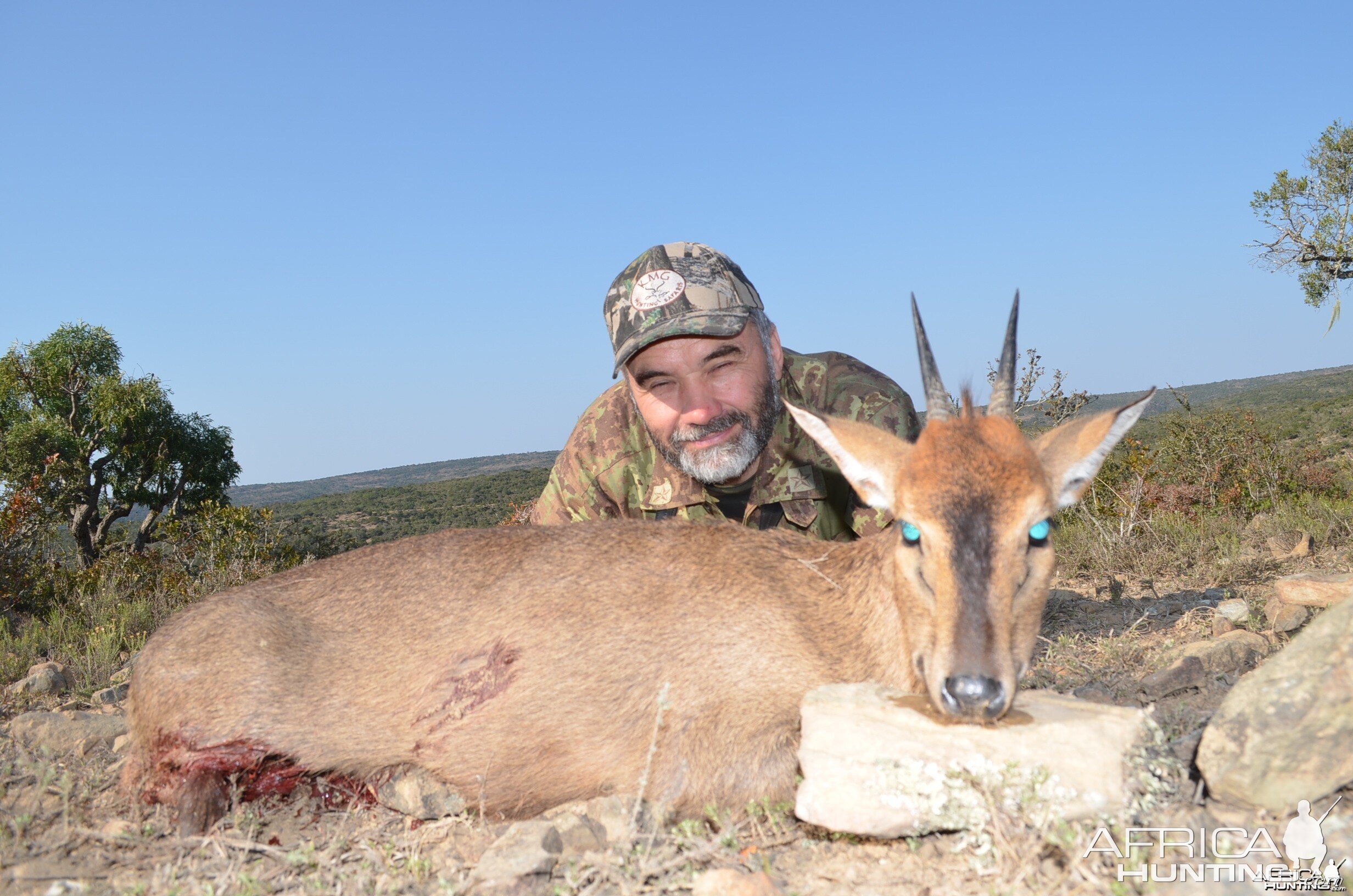 Duiker KMG Hunting Safaris