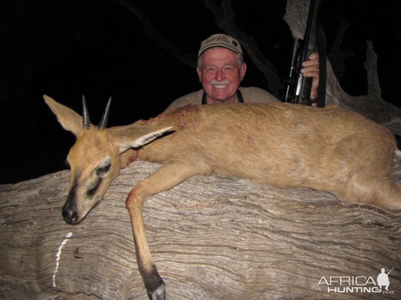 Duiker Namibia Hunting