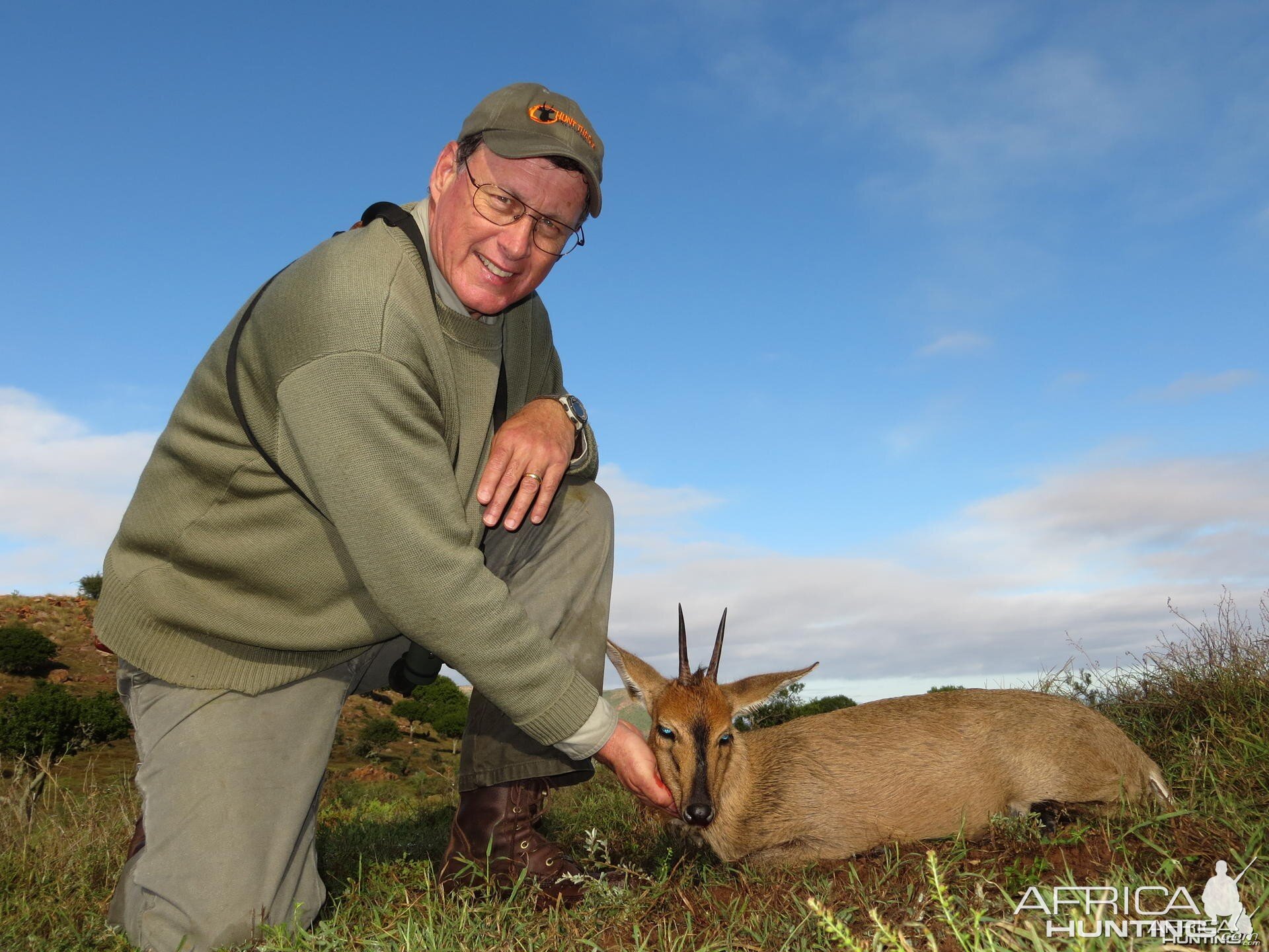 Duiker South Africa