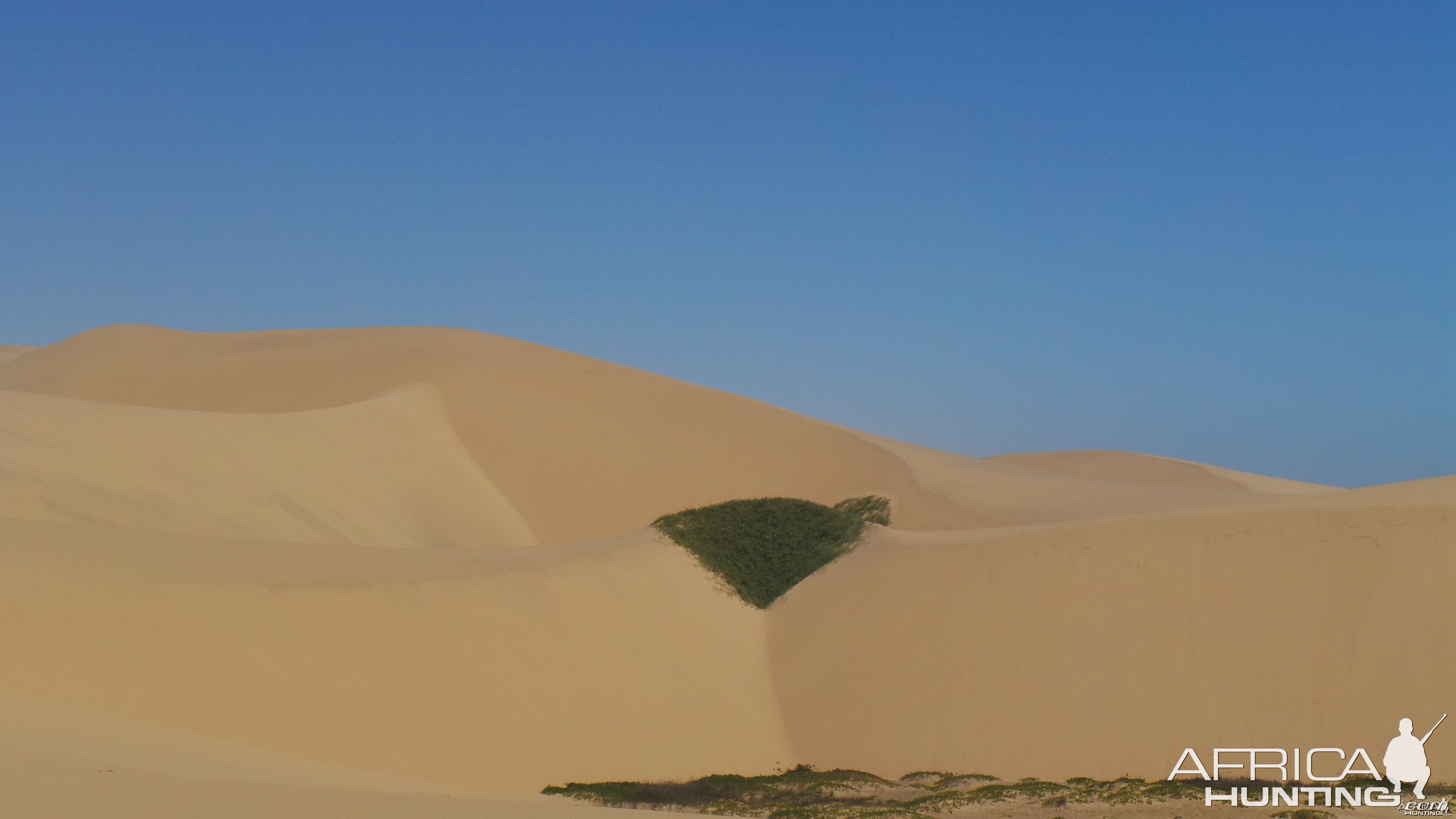 Dune Sandwich Harbor Namibia