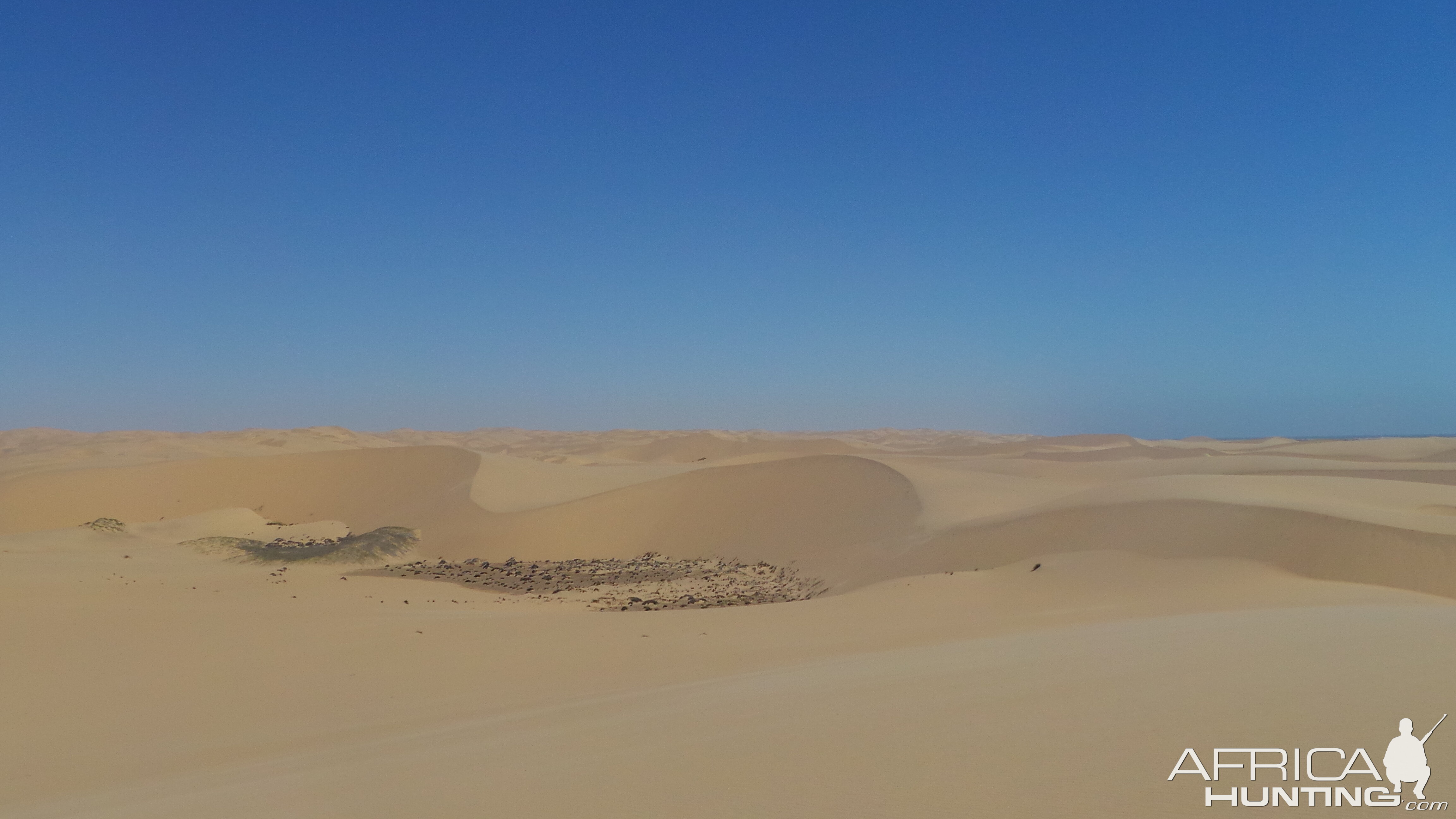 Dune Sandwich Harbor Namibia