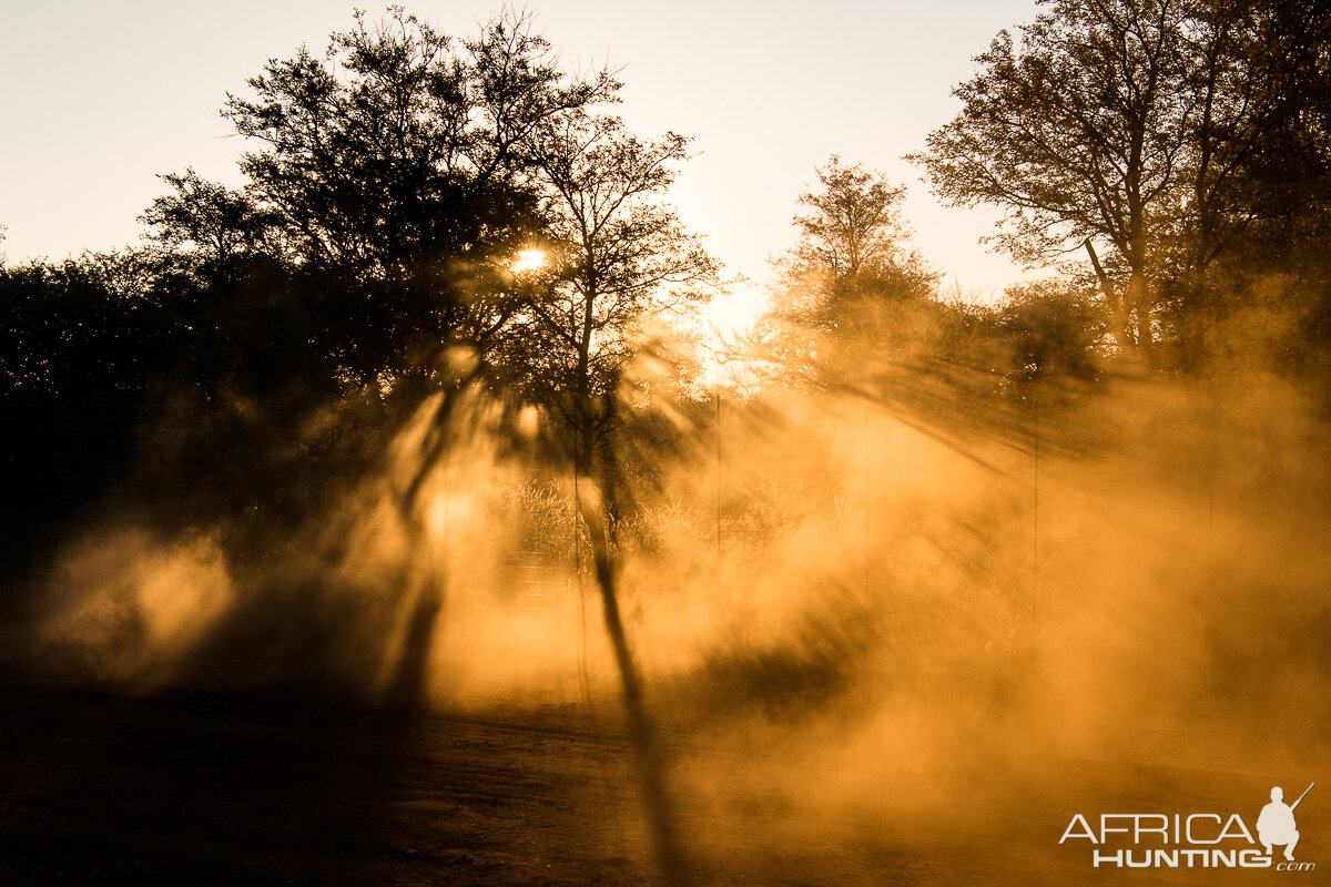 Early Morning South Africa