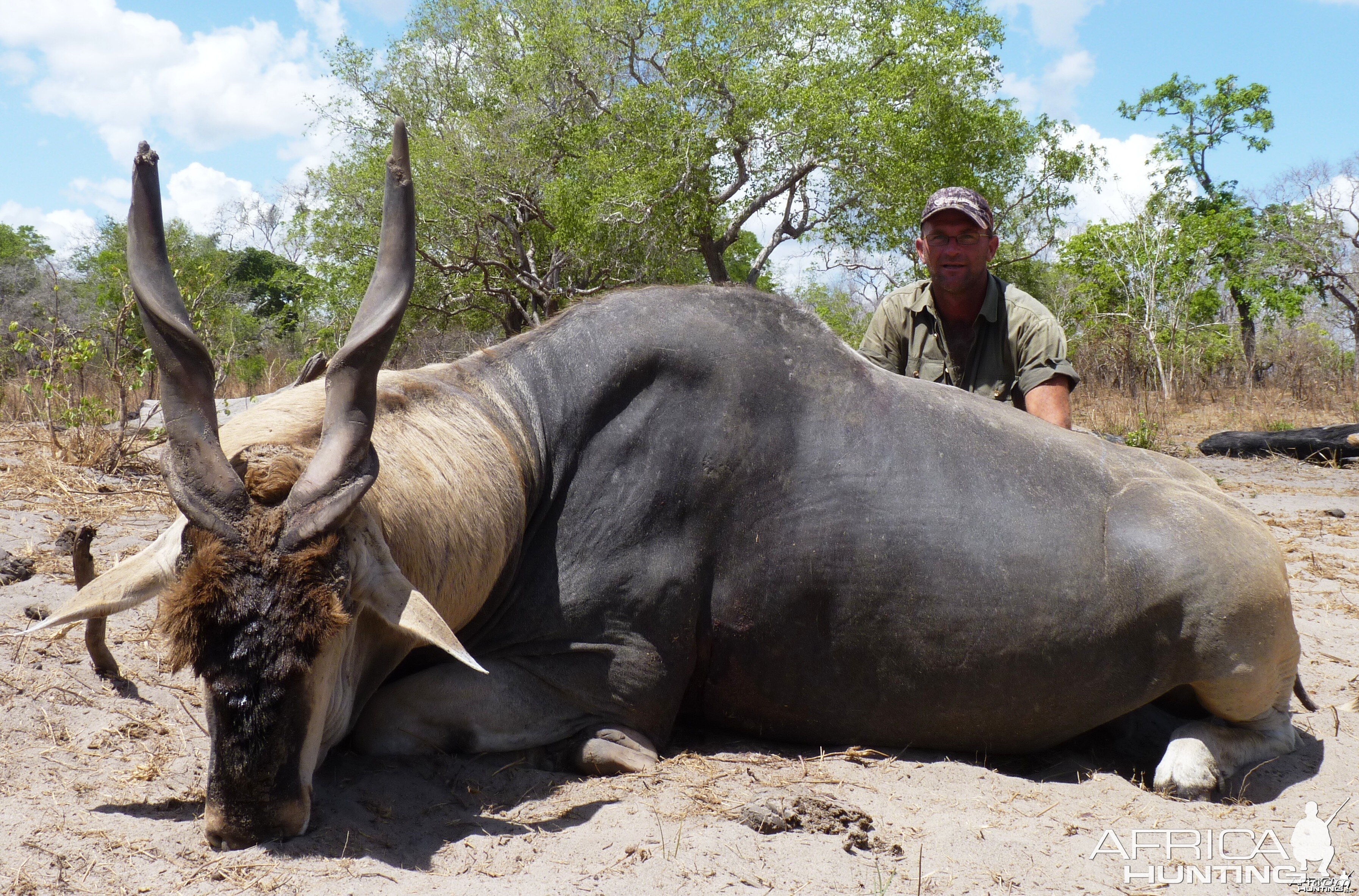 East african Eland from Selous