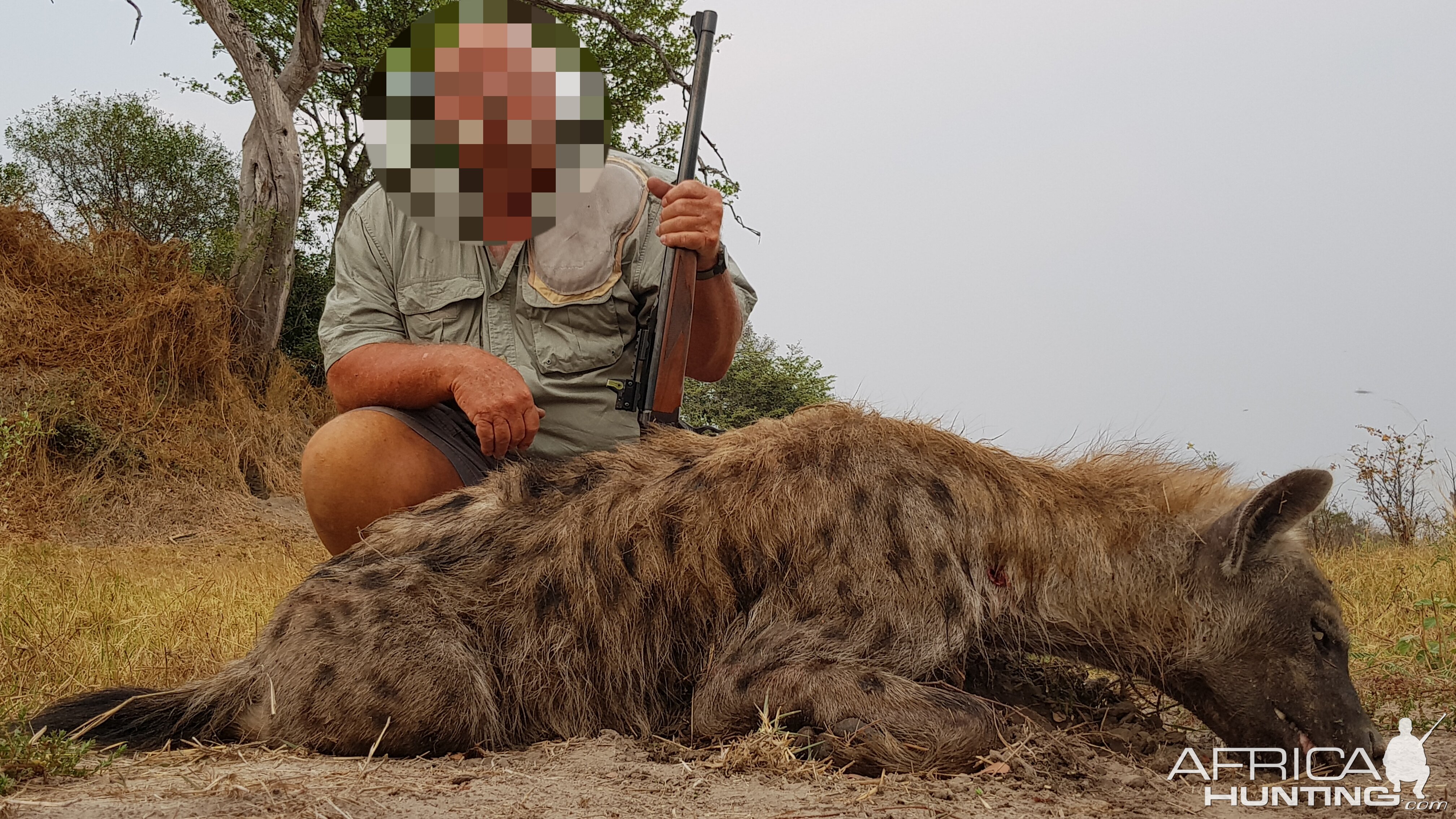 east caprivi hyena