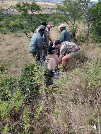 Eastern Cape South Africa Nature