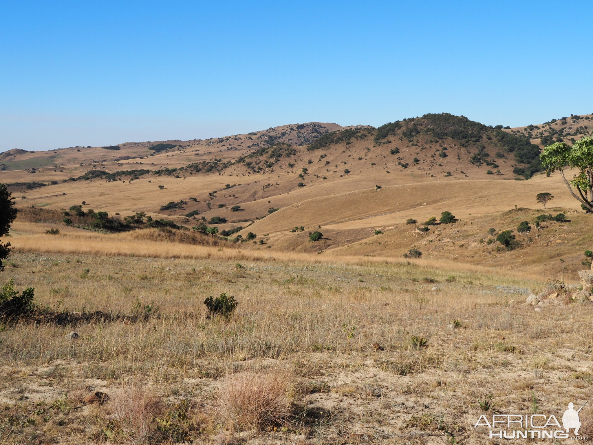 Eastern Mpumalanga Nature South Africa