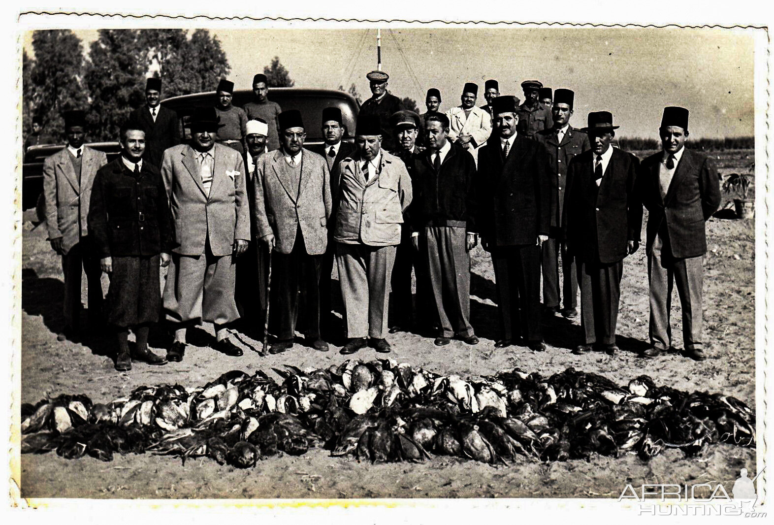 Egypt Duck Hunting
