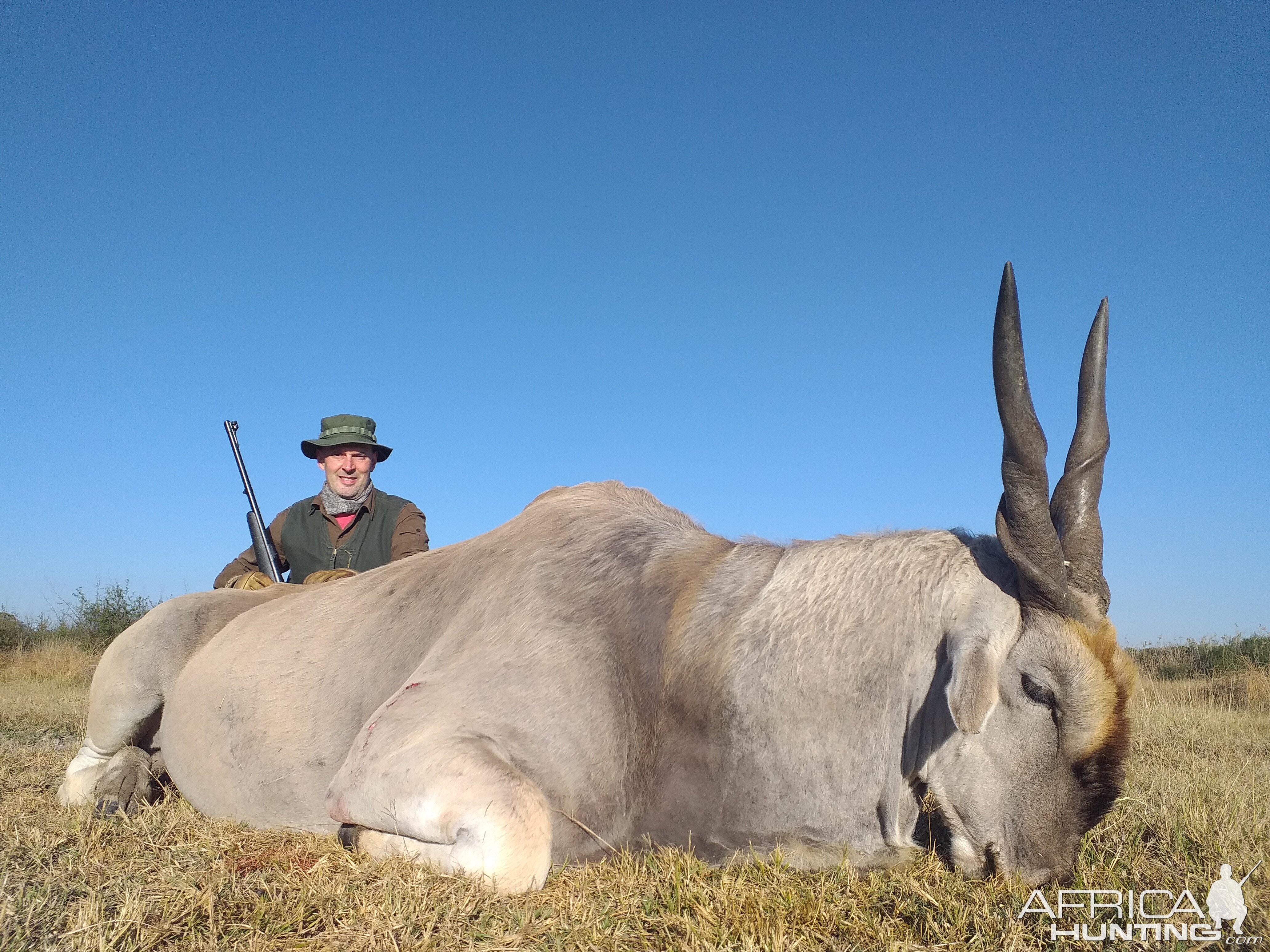 Eland at Koppie Dam Nature Reserve