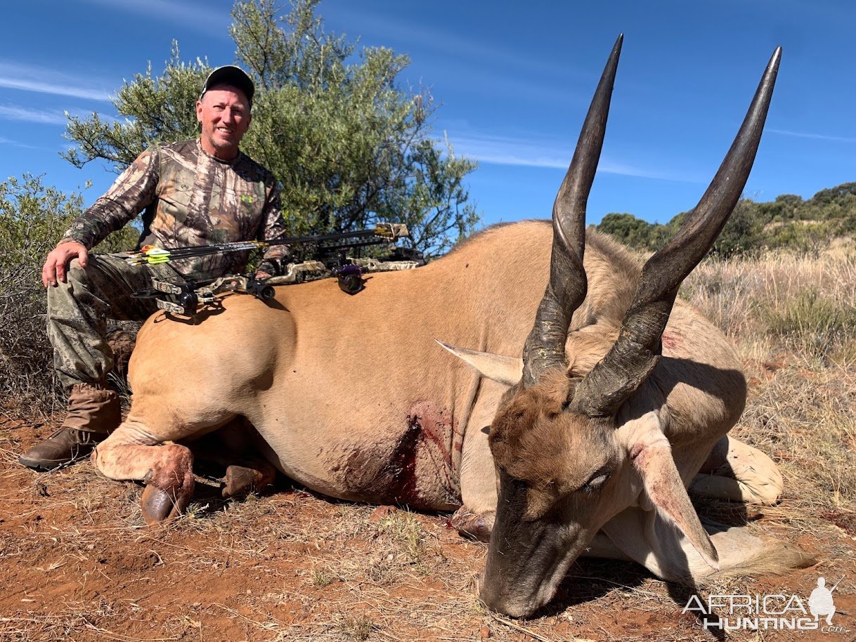 Eland Bow Hunt Free State Province South Africa