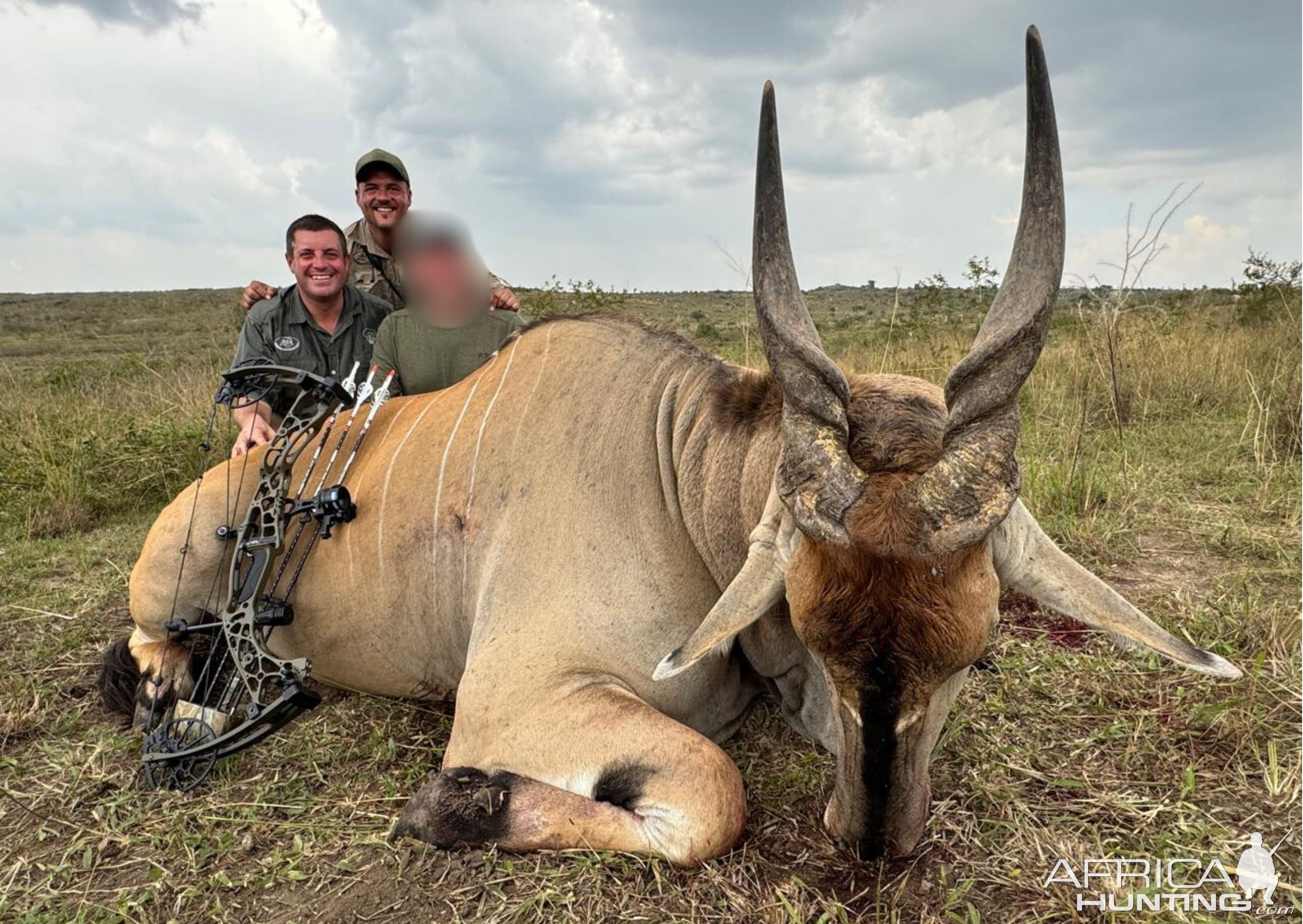 Eland Bow Hunt