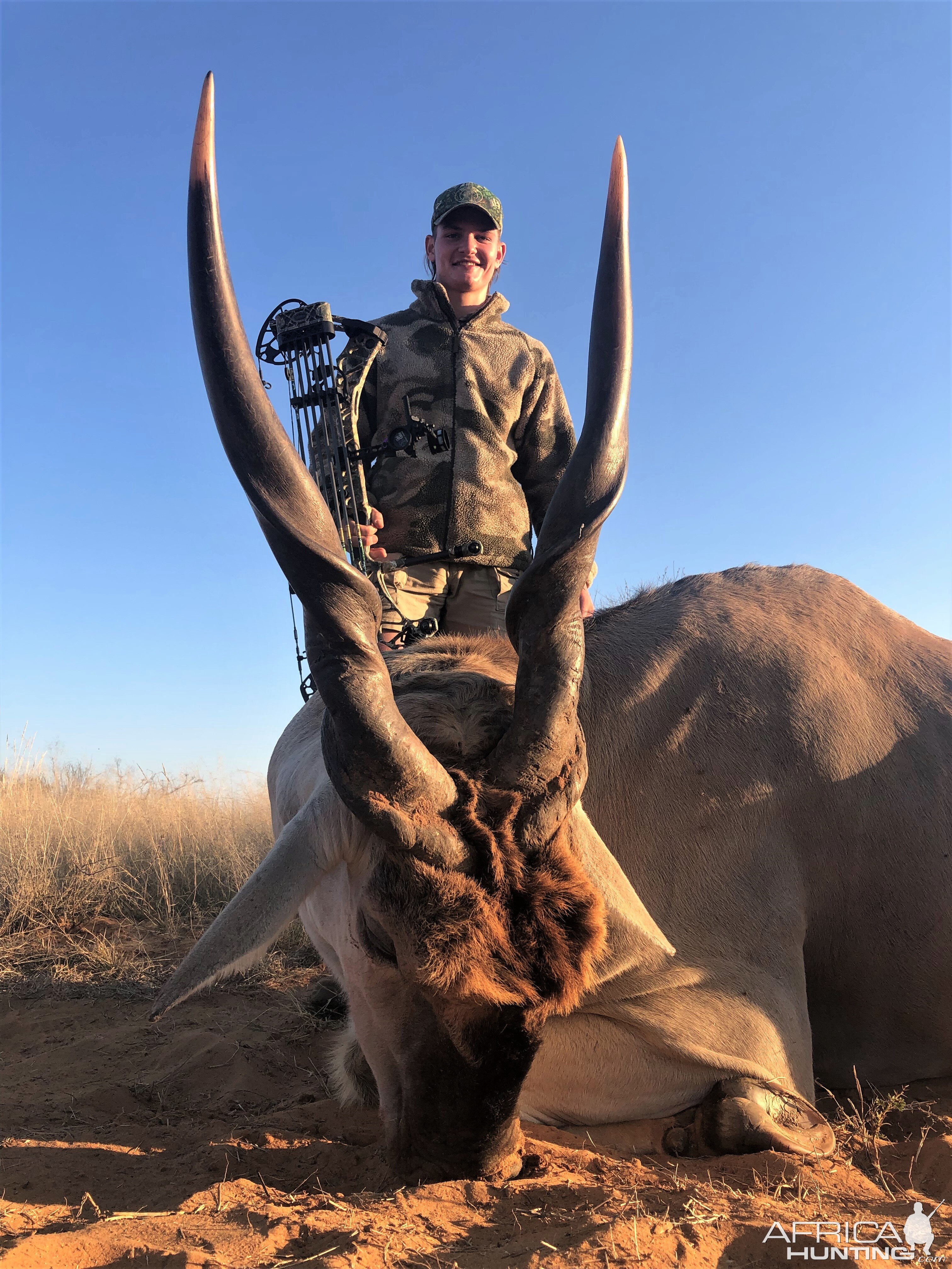 Eland Bow Hunting South Africa