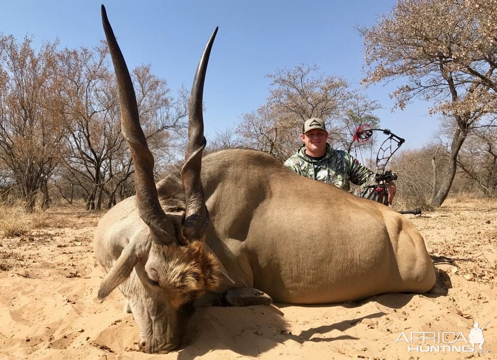 Eland Bow Hunting South Africa