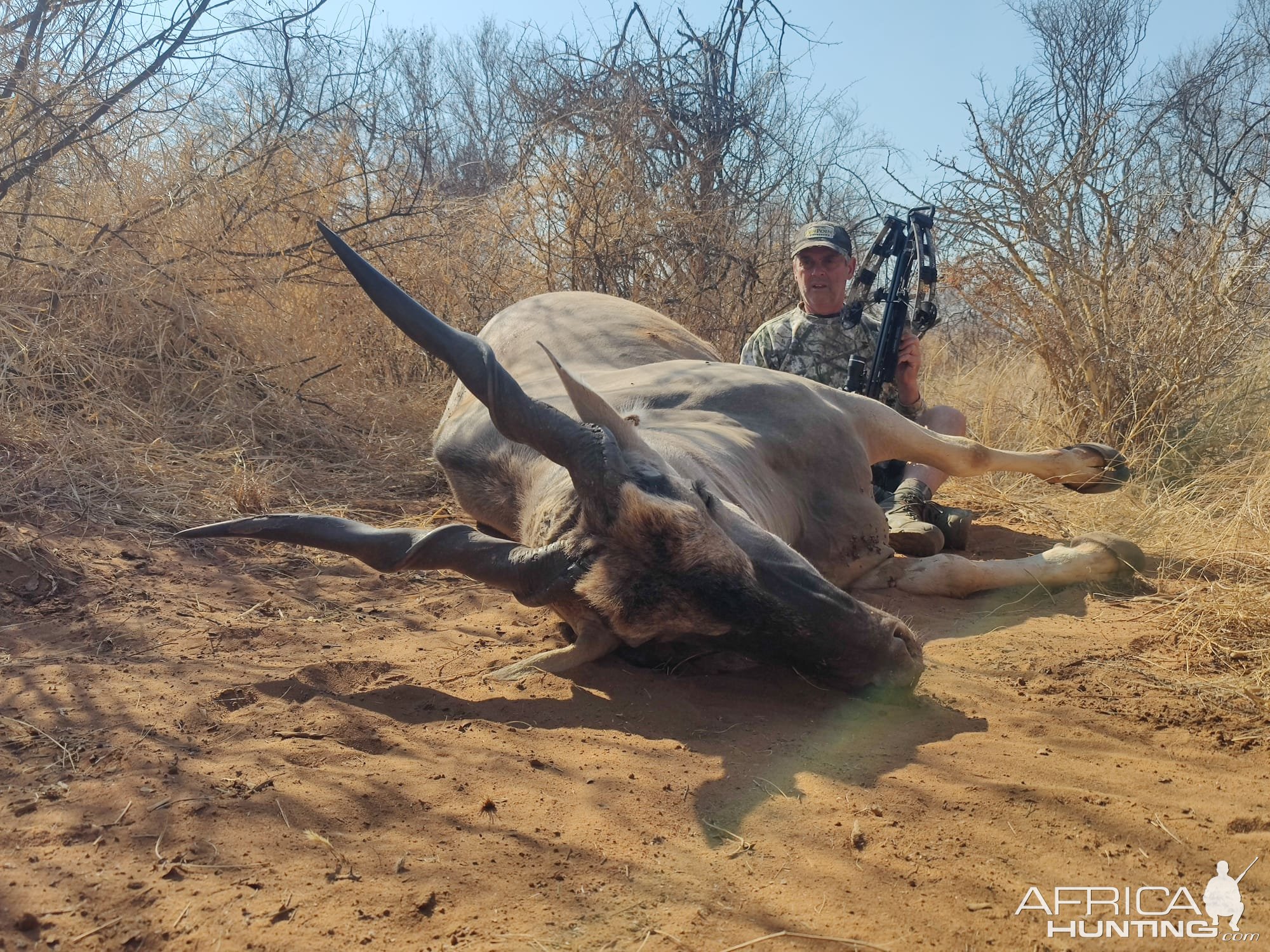 Eland Bow Hunting