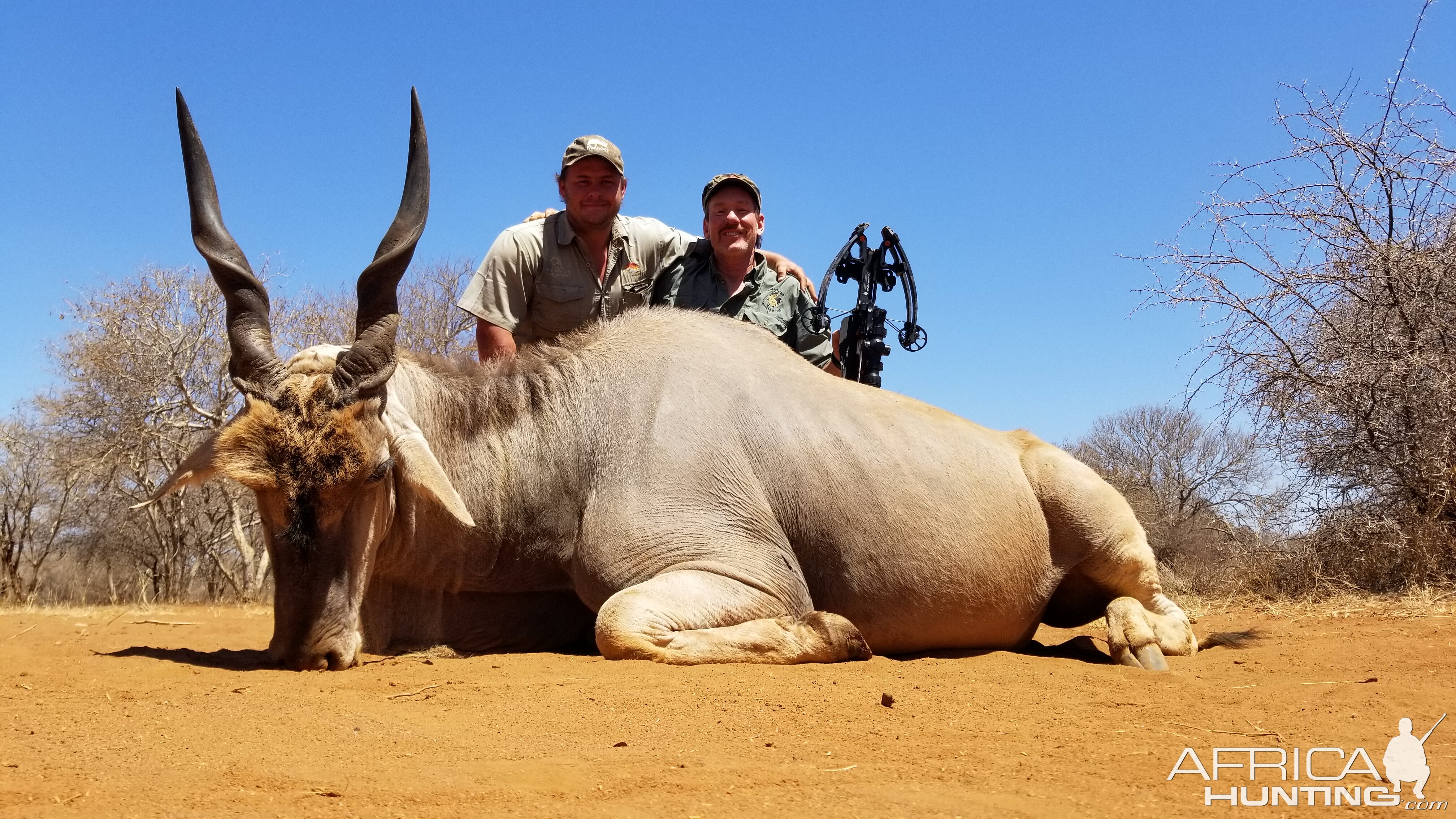 Eland Crossbow