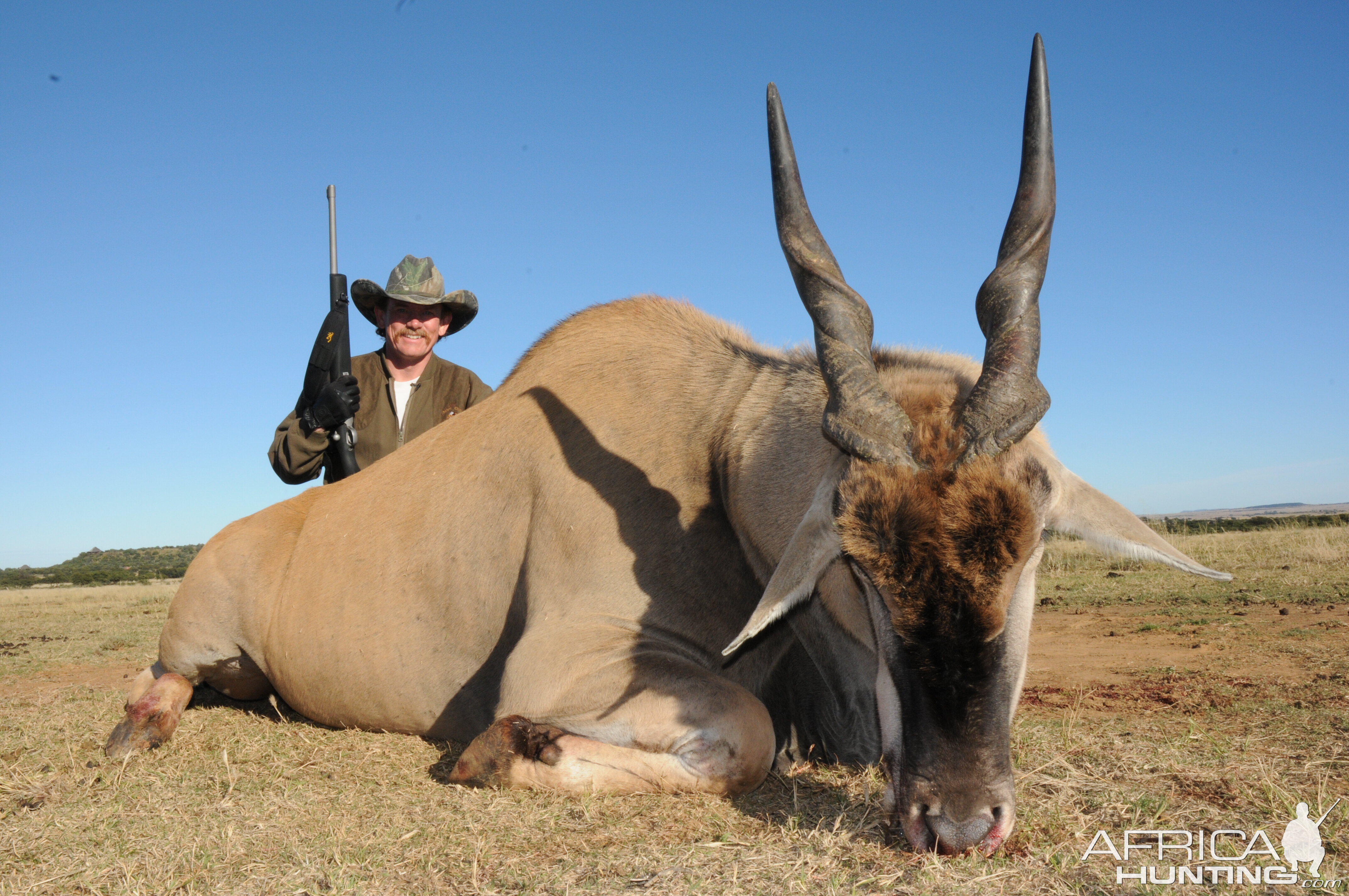 Eland from our 2009 Safari