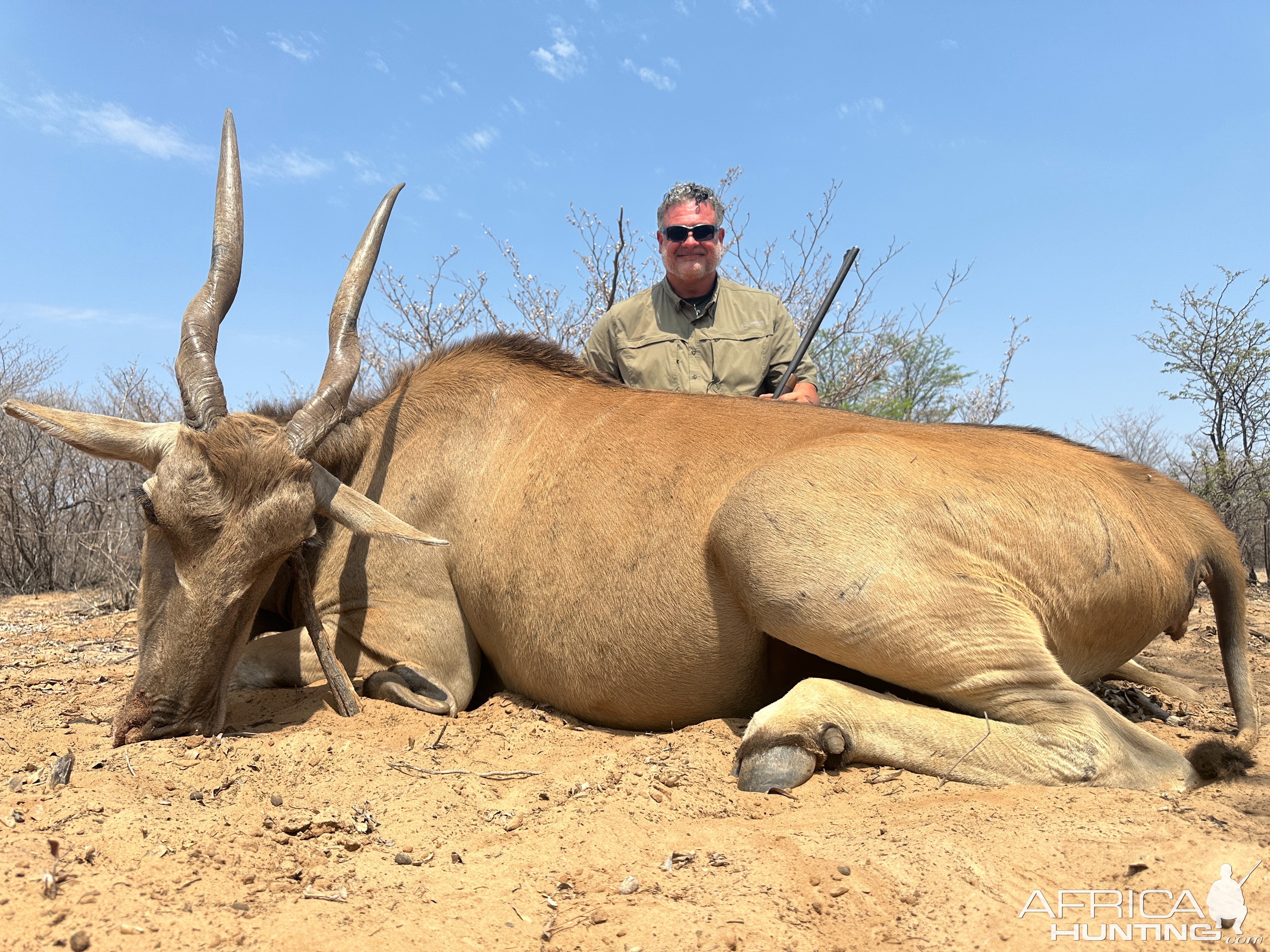 Eland Hunt Botswana