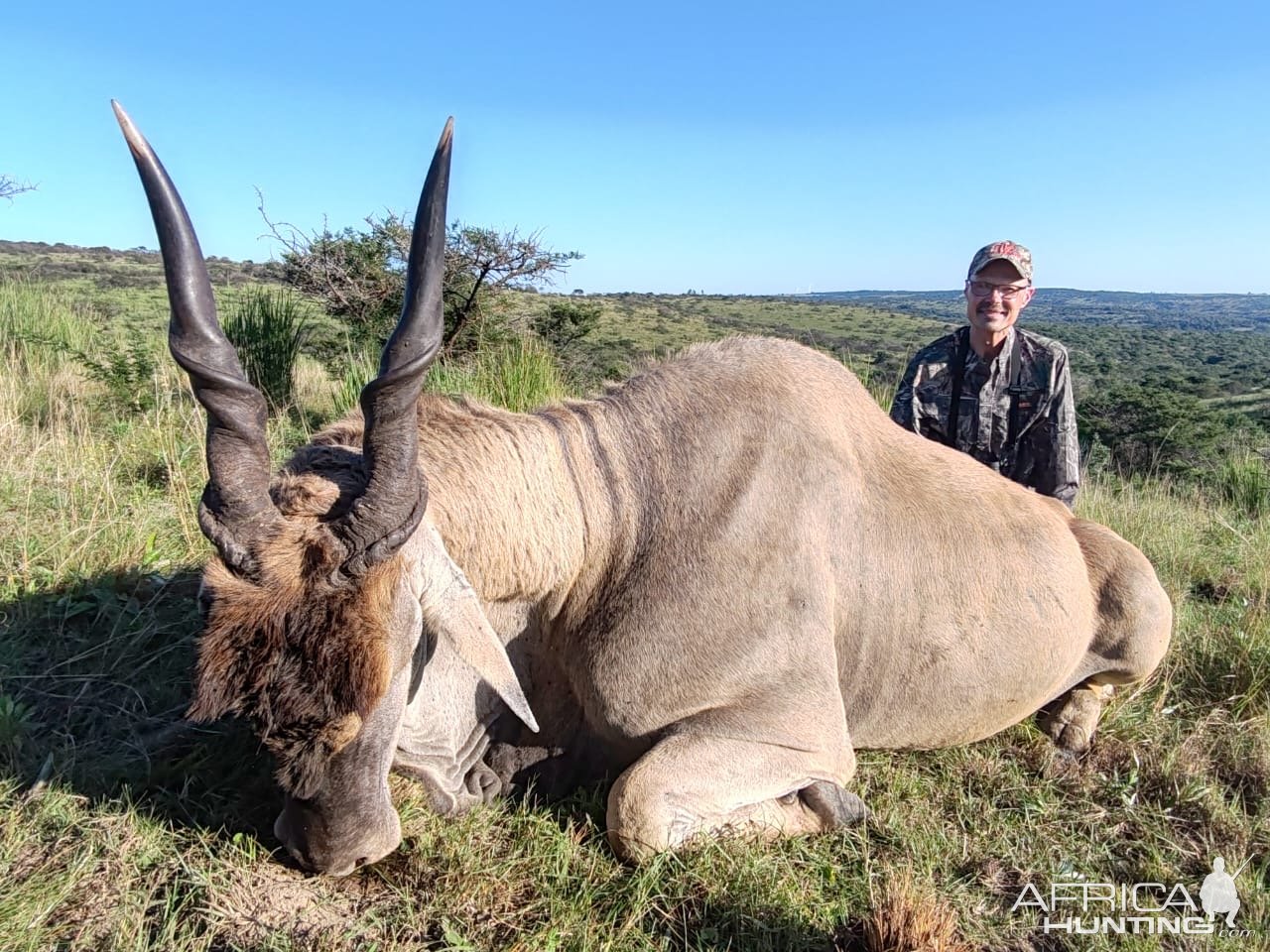 Eland Hunt Eastern Cape South Africa