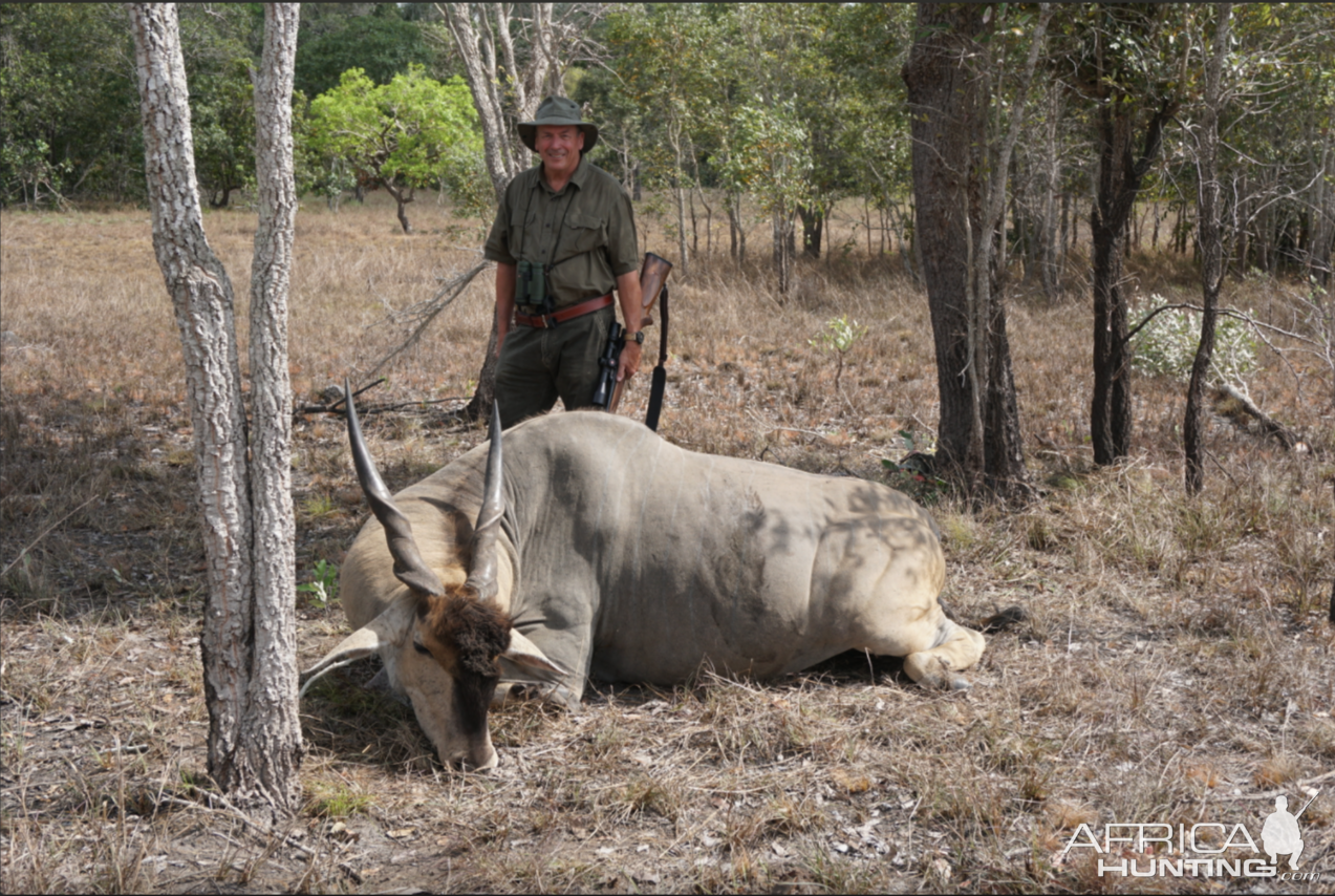 Eland Hunt In Mozambique