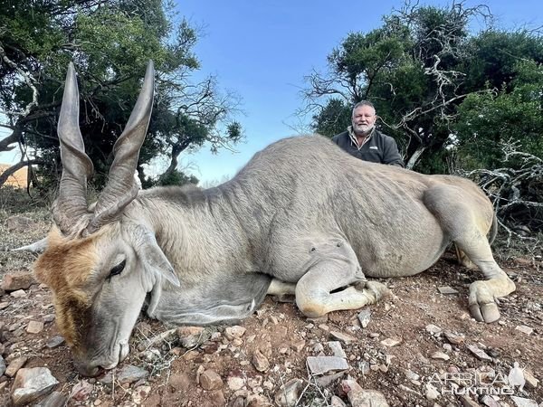 Eland Hunt Karoo South Africa