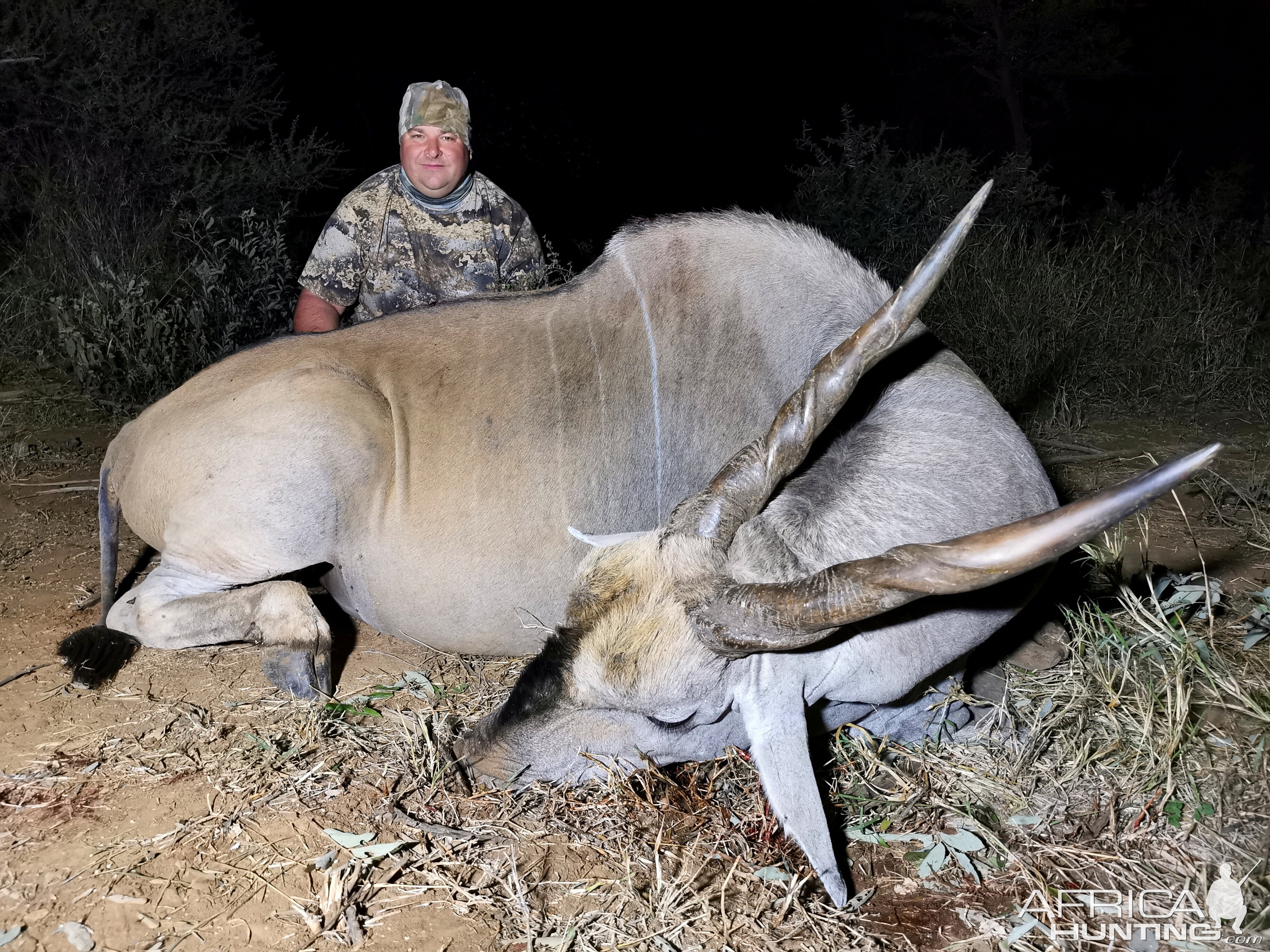 Eland Hunt Limpopo South Africa