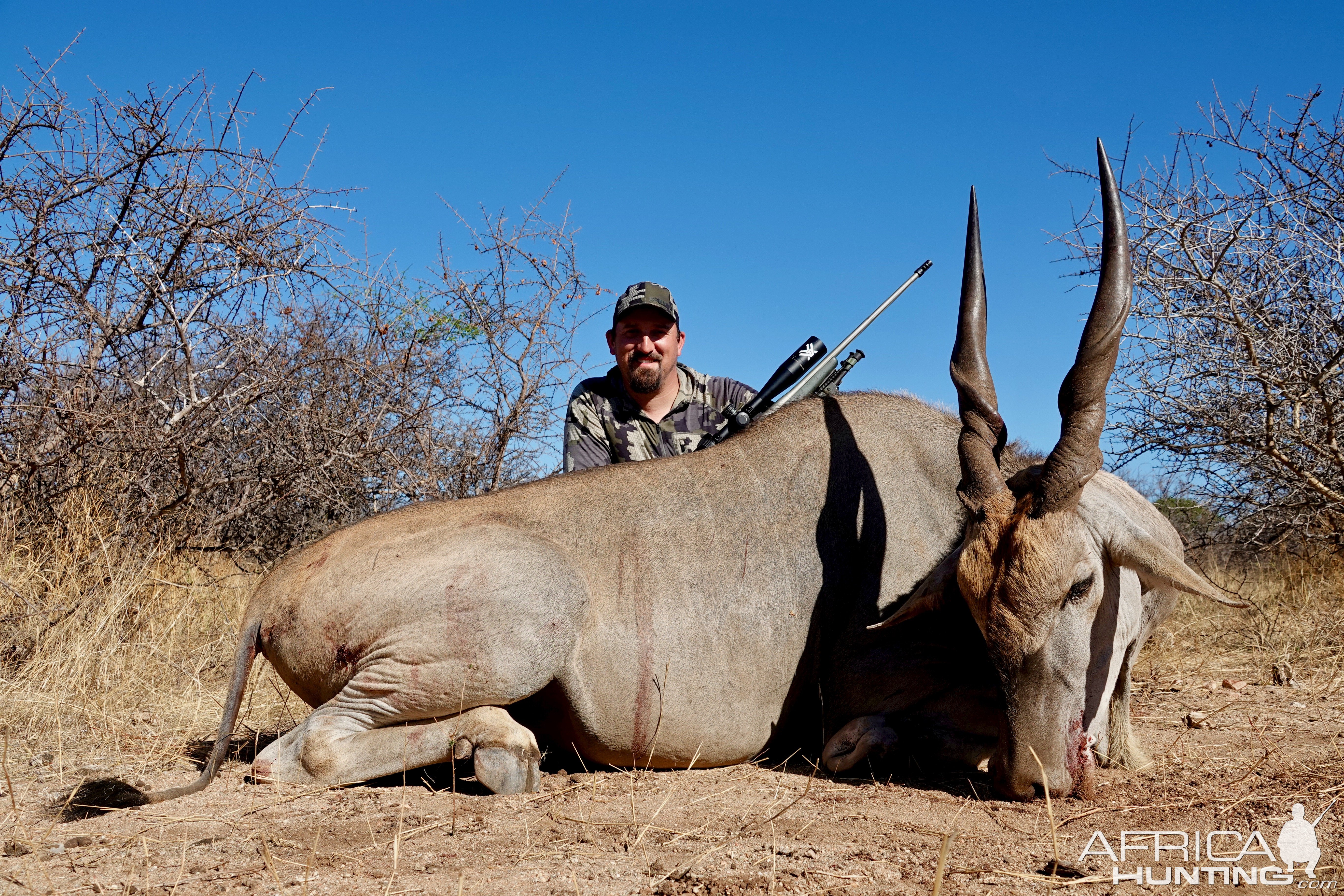 Eland Hunt Limpopo South Africa