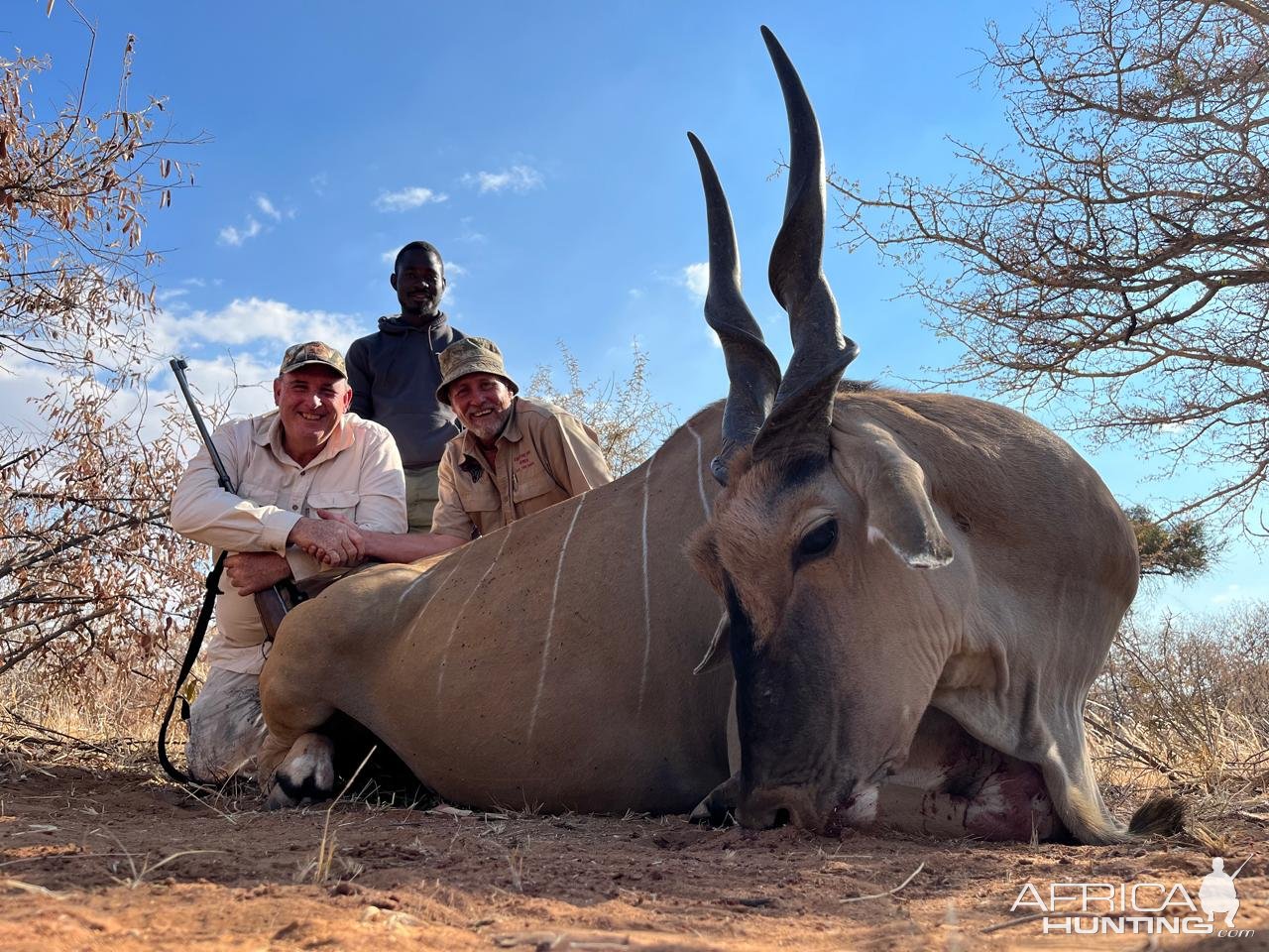 Eland Hunt Limpopo