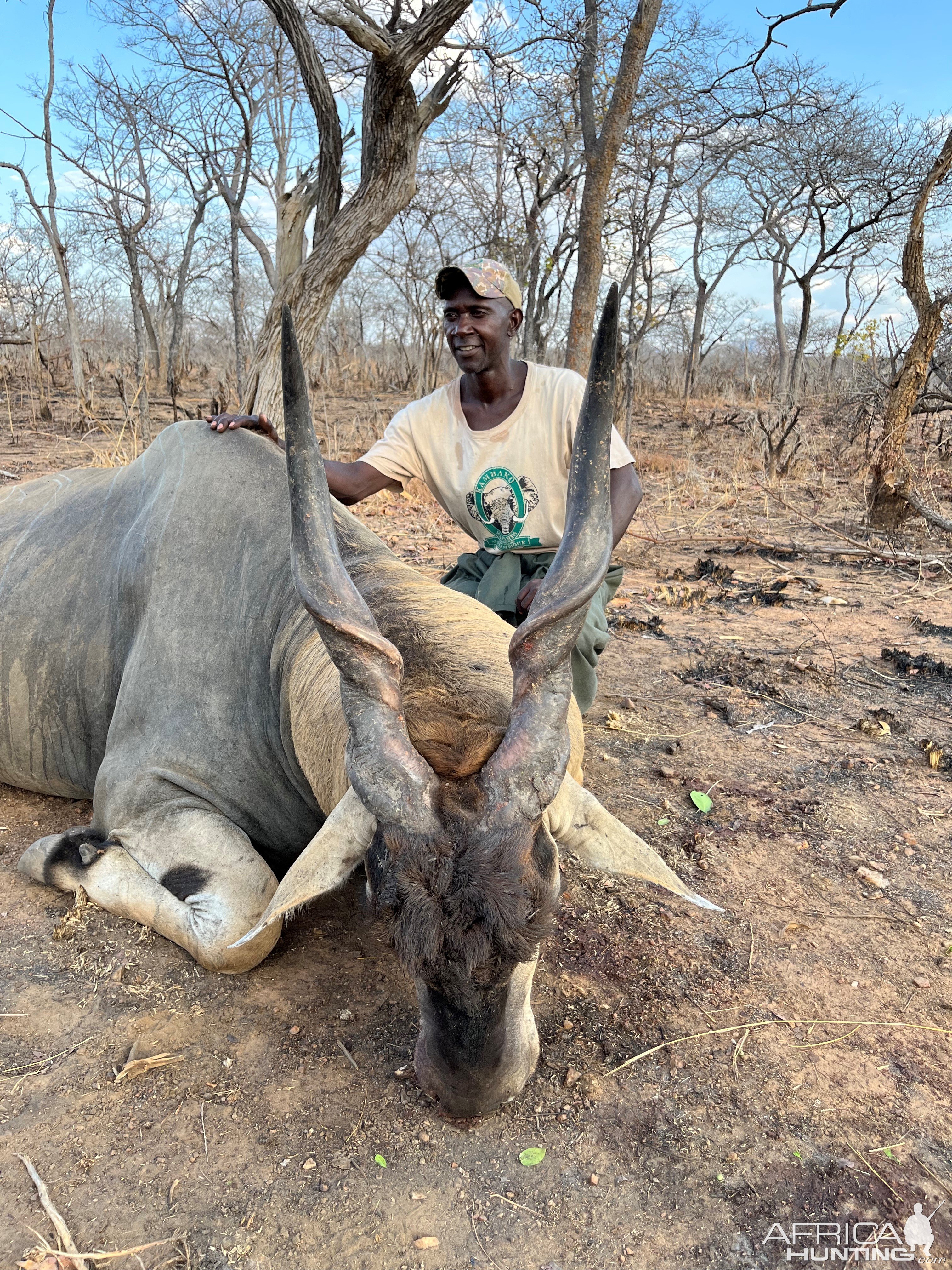 Eland Hunt Mozambique