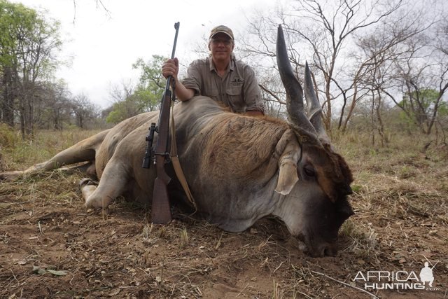 Eland Hunt Mozambique