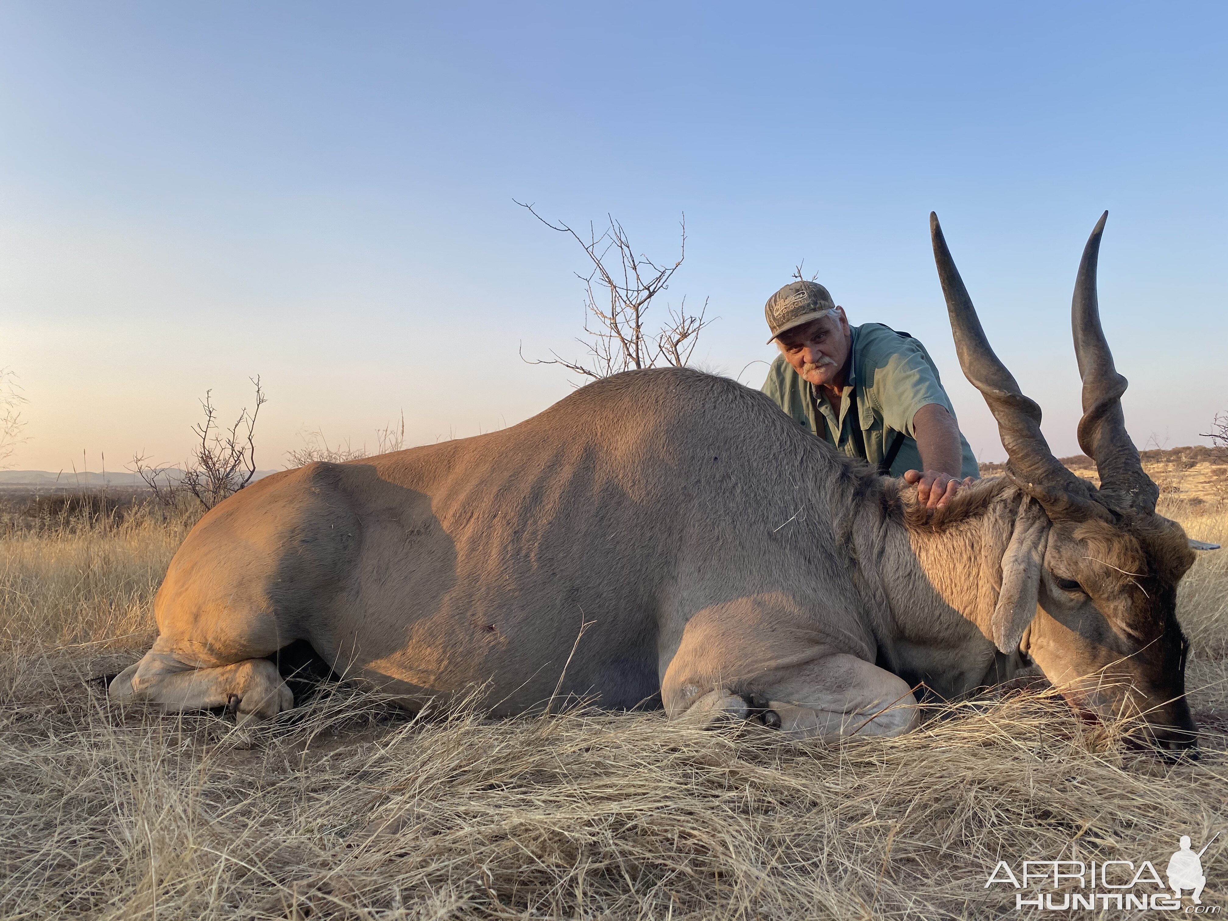 Eland Hunt Namibia