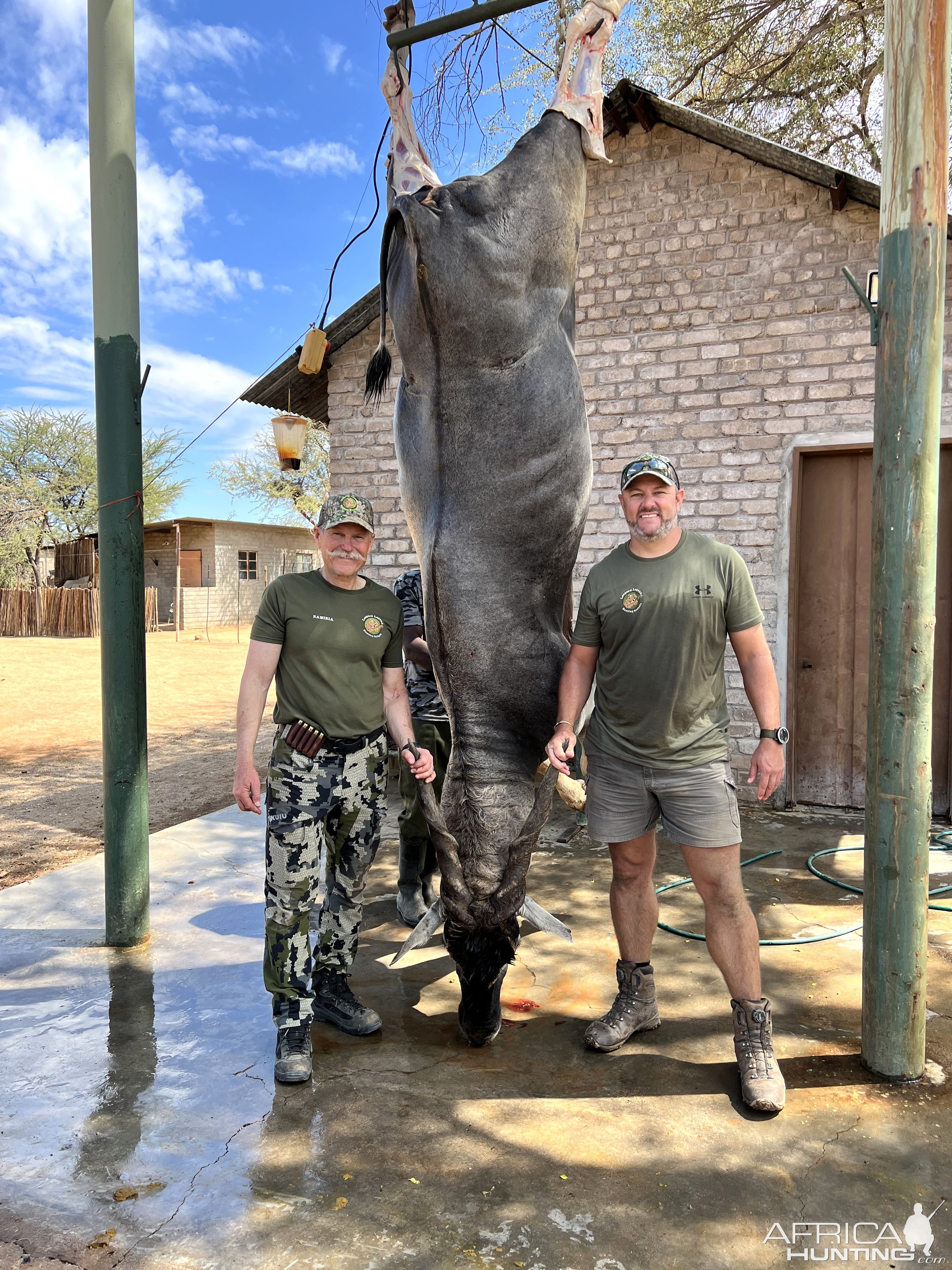 Eland Hunt Namibia